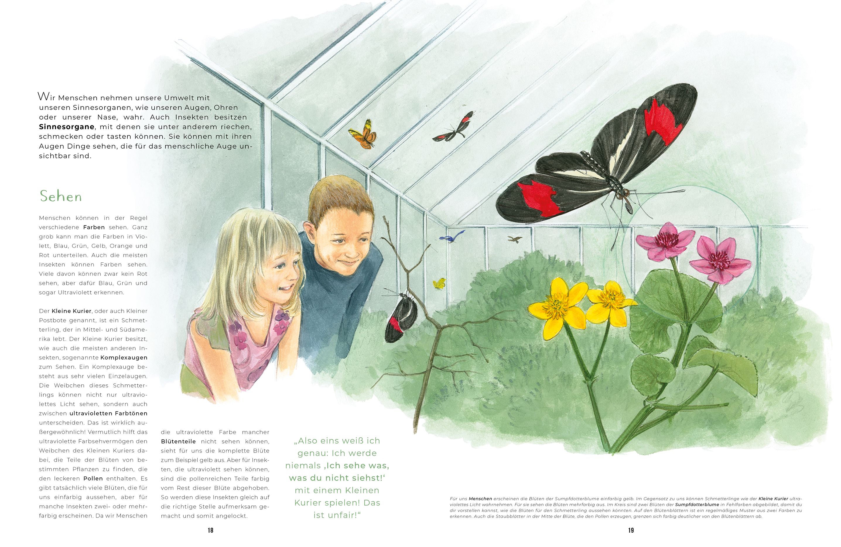 Insekten - Kleine Lebewesen, große Vielfalt
