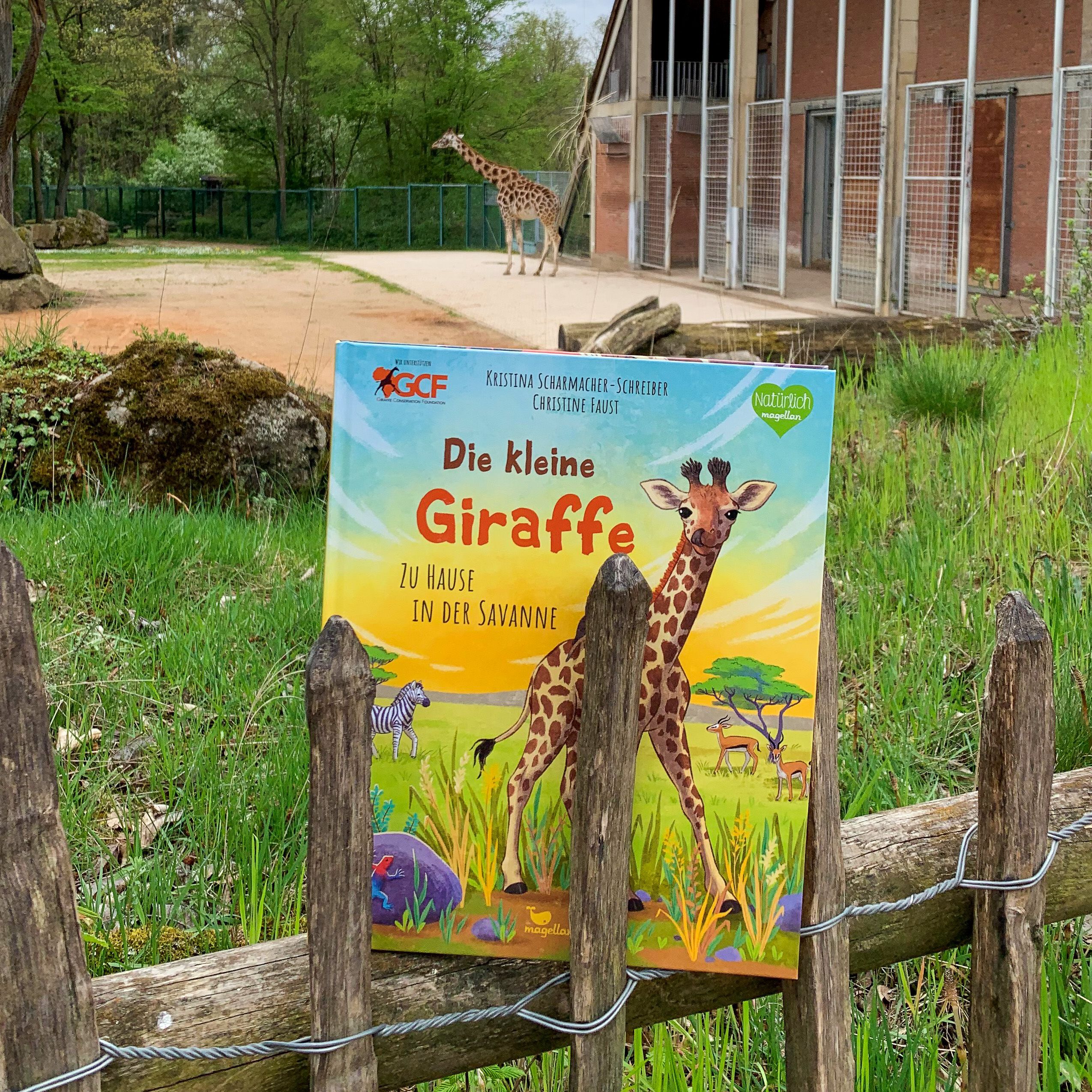 Die kleine Giraffe - Zu Hause in der Savanne