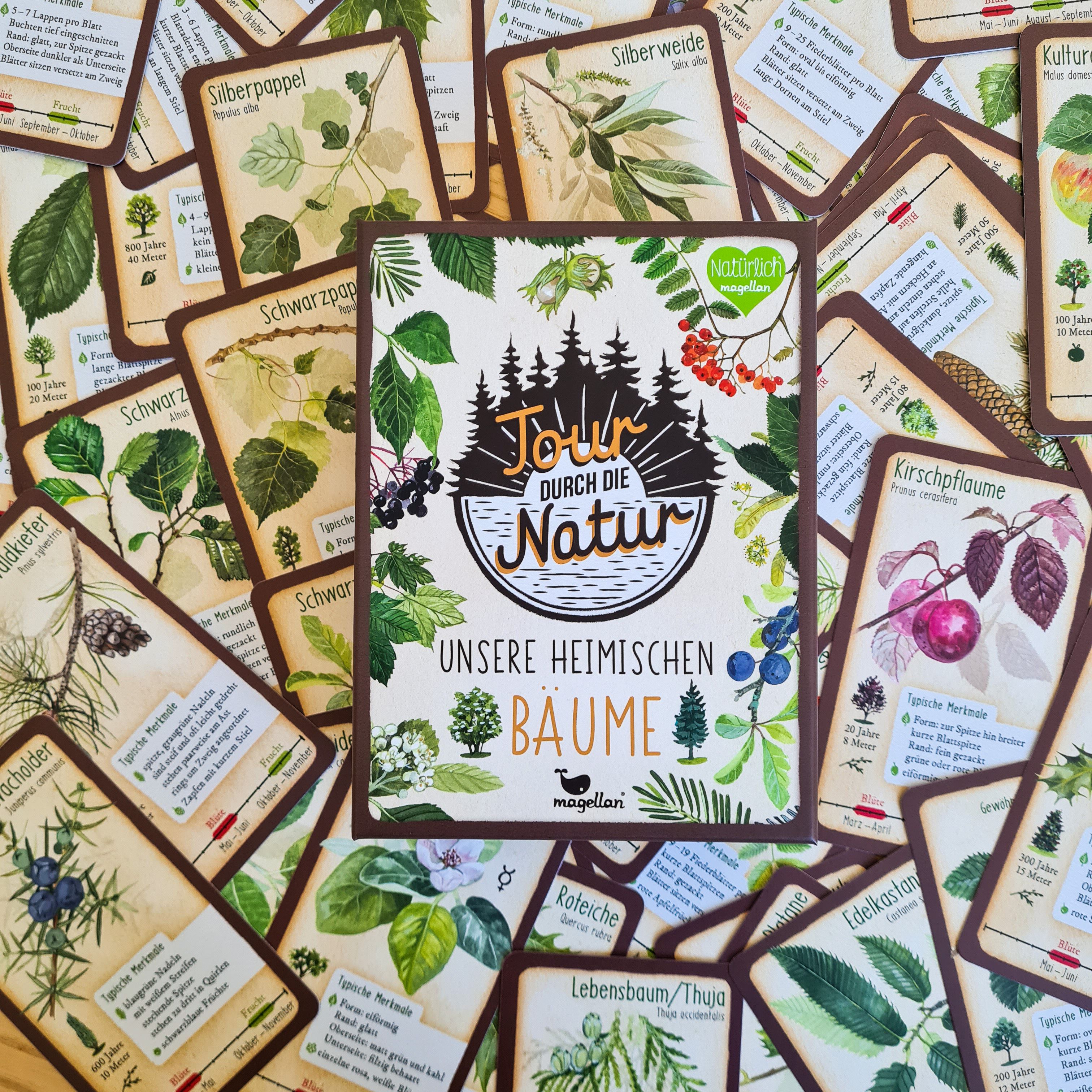 Tour durch die Natur - 50 unserer heimischen Bäume