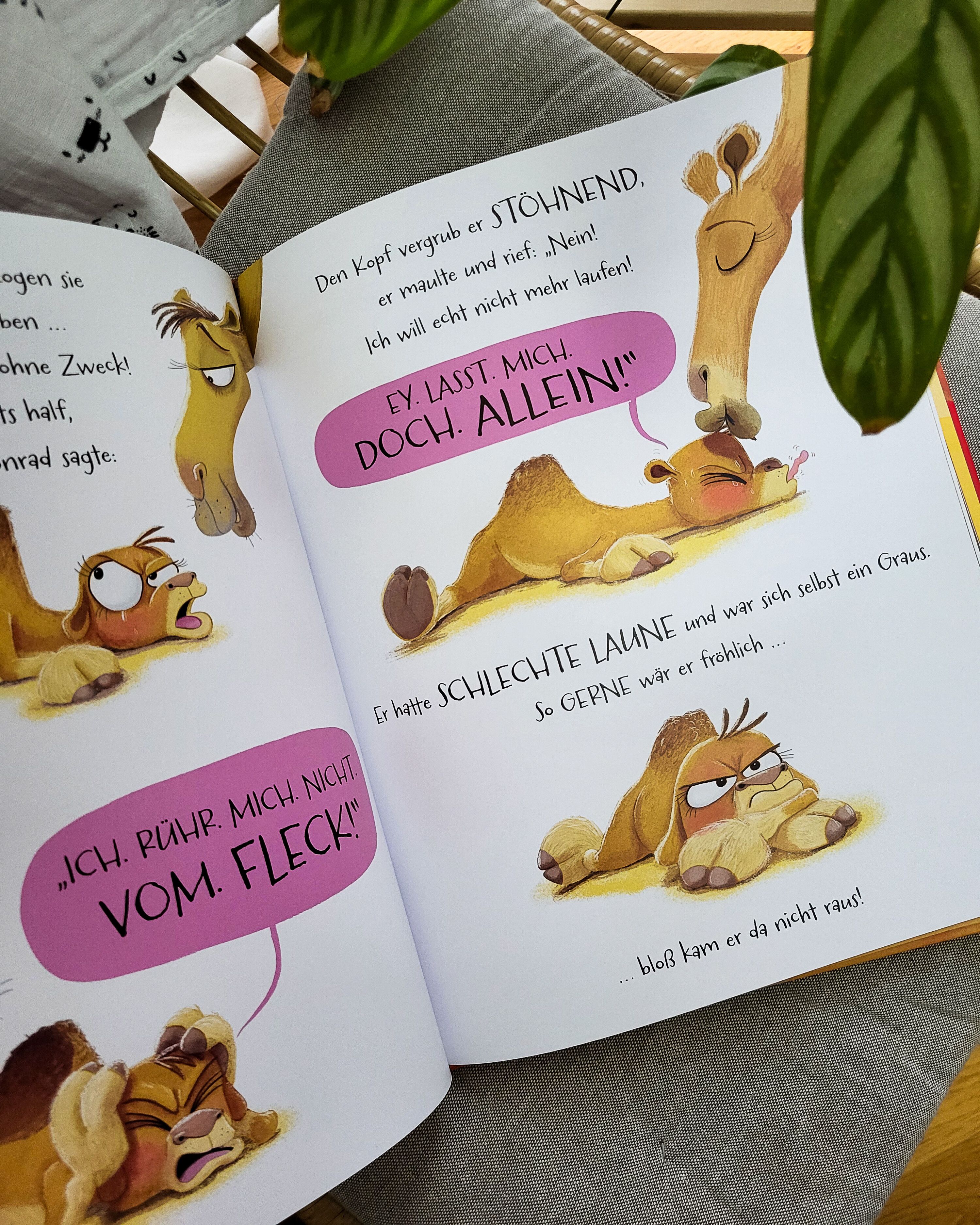 Das Kamel hat schlechte Laune