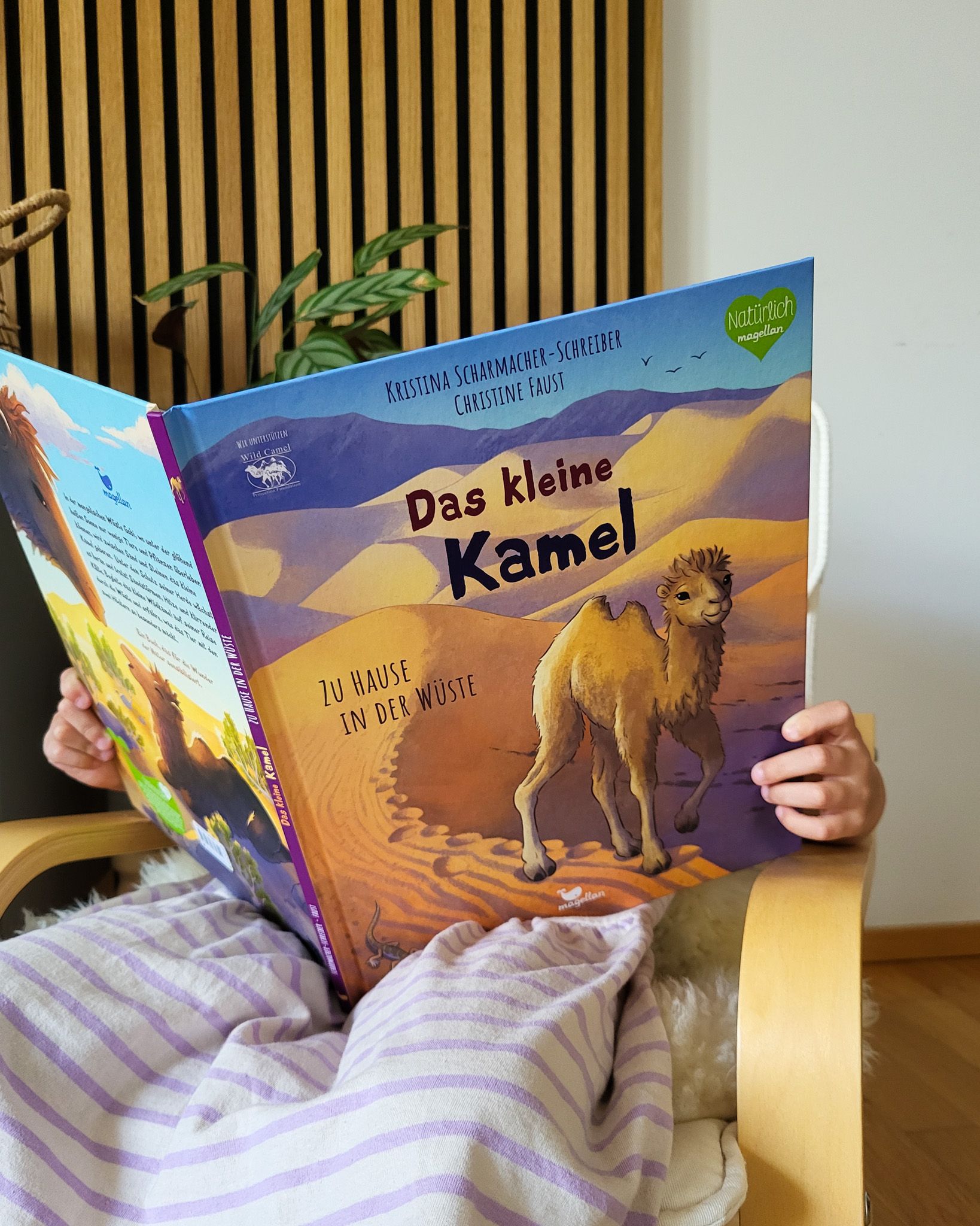 Das kleine Kamel - Zu Hause in der Wüste
