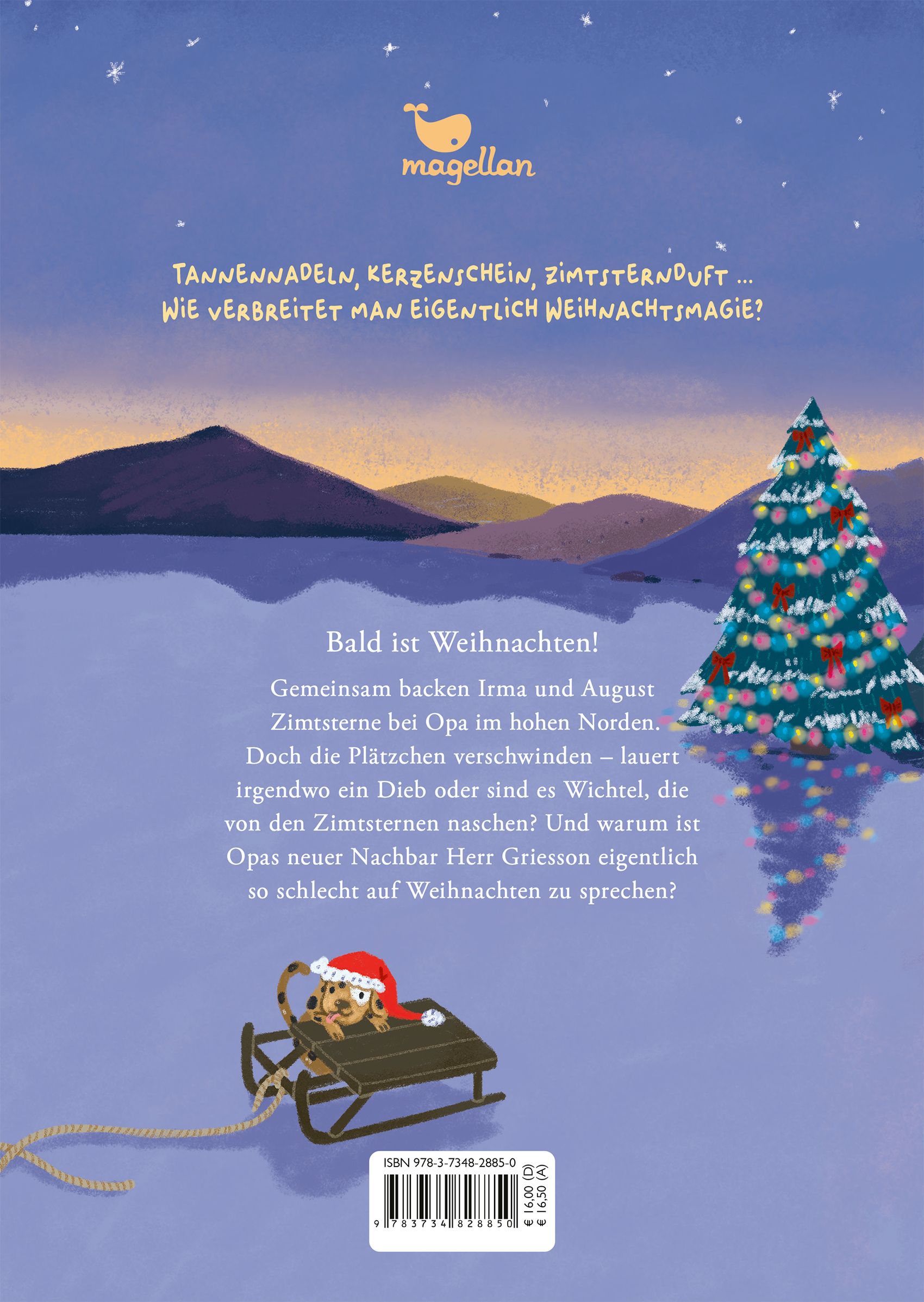 Zimtsternewinter