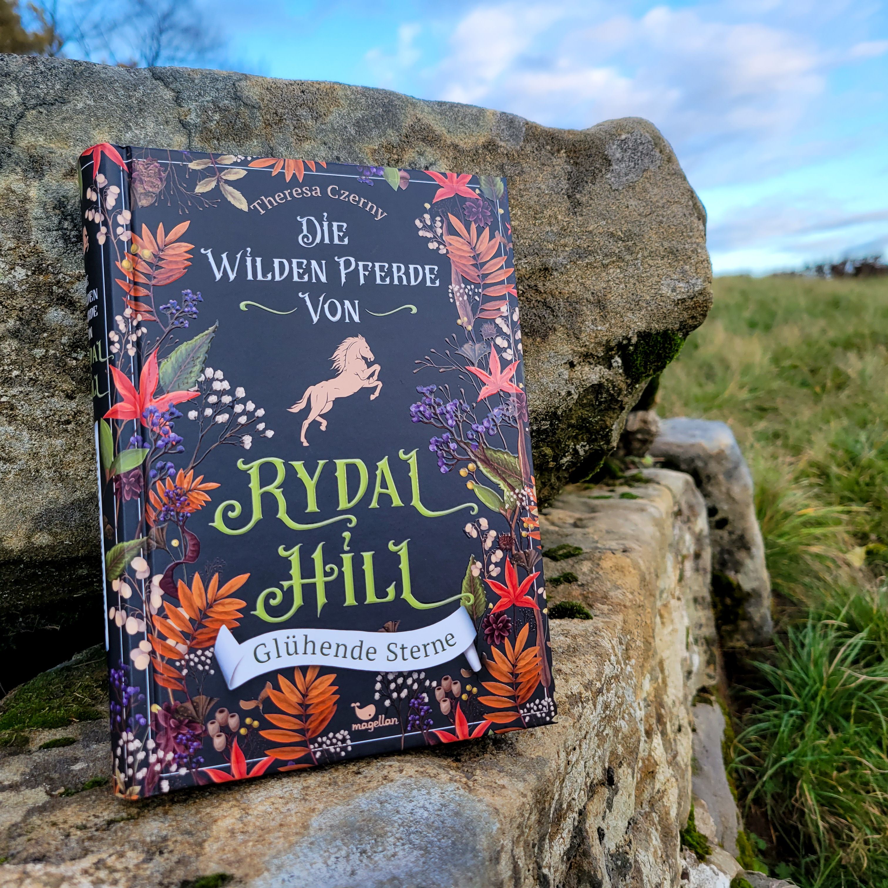 Die wilden Pferde von Rydal Hill - Glühende Sterne
