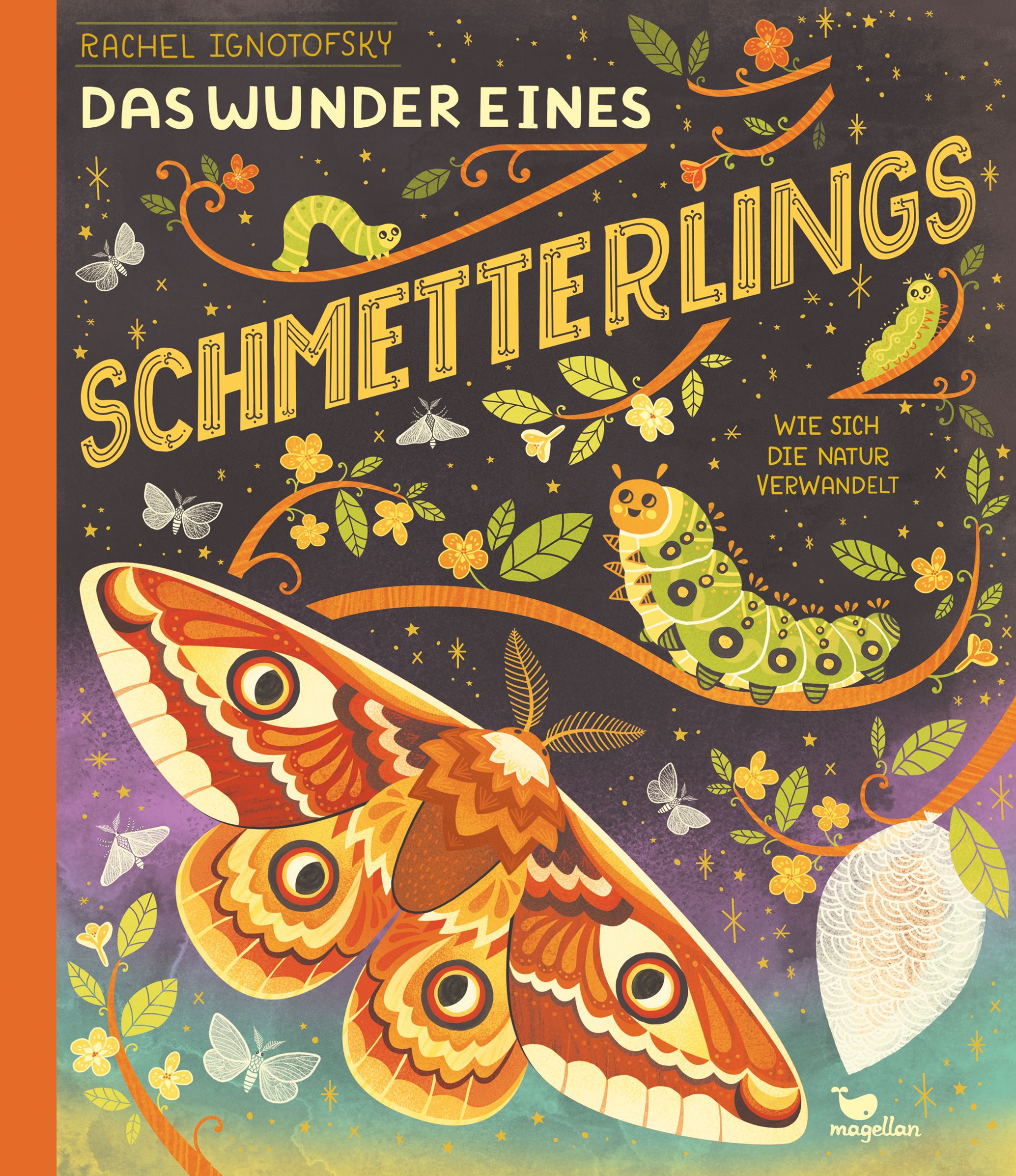 Das Wunder eines Schmetterlings - Wie sich die Natur verwandelt