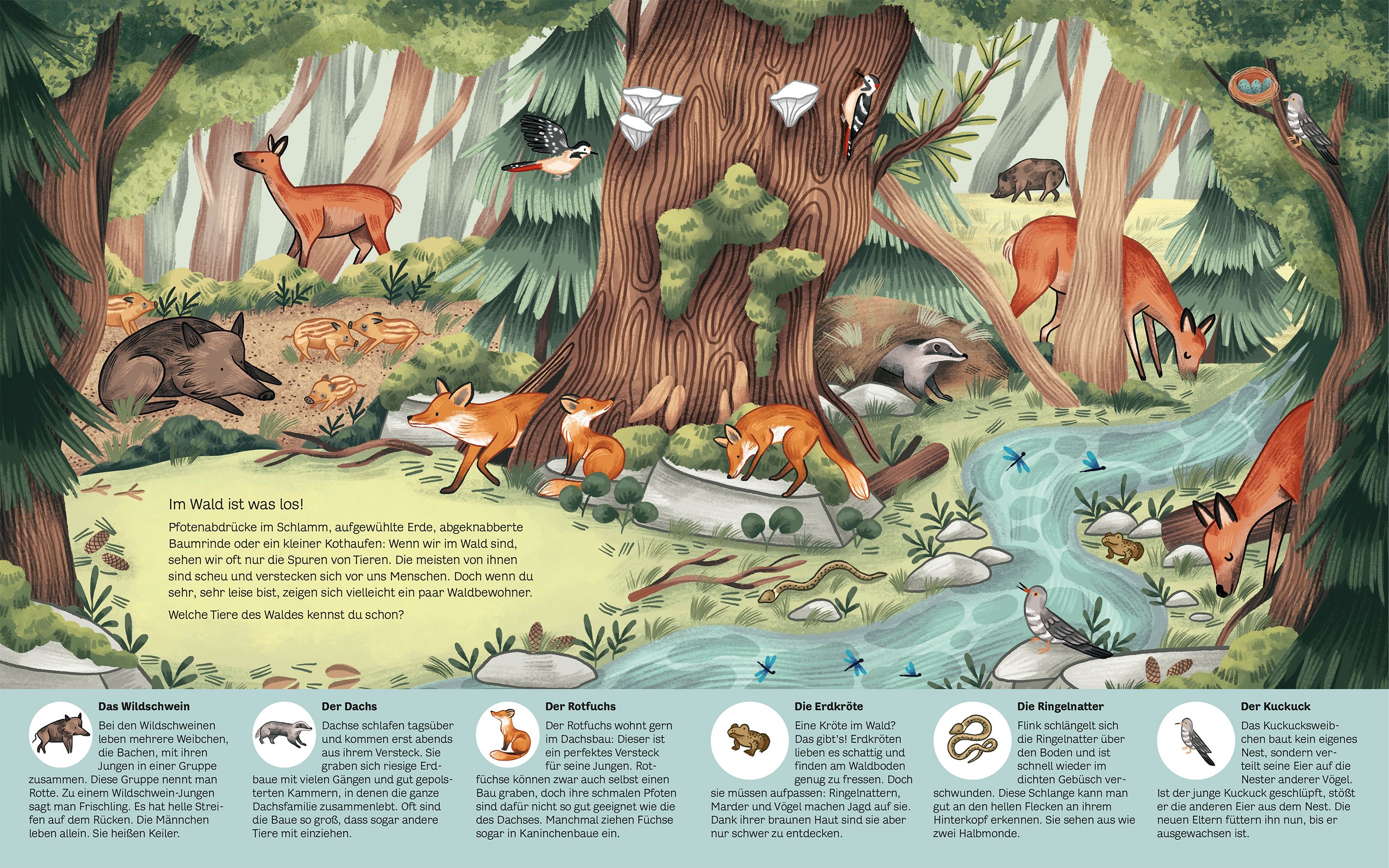 Kleine Geheimnisse der Natur - Wald und Wiese