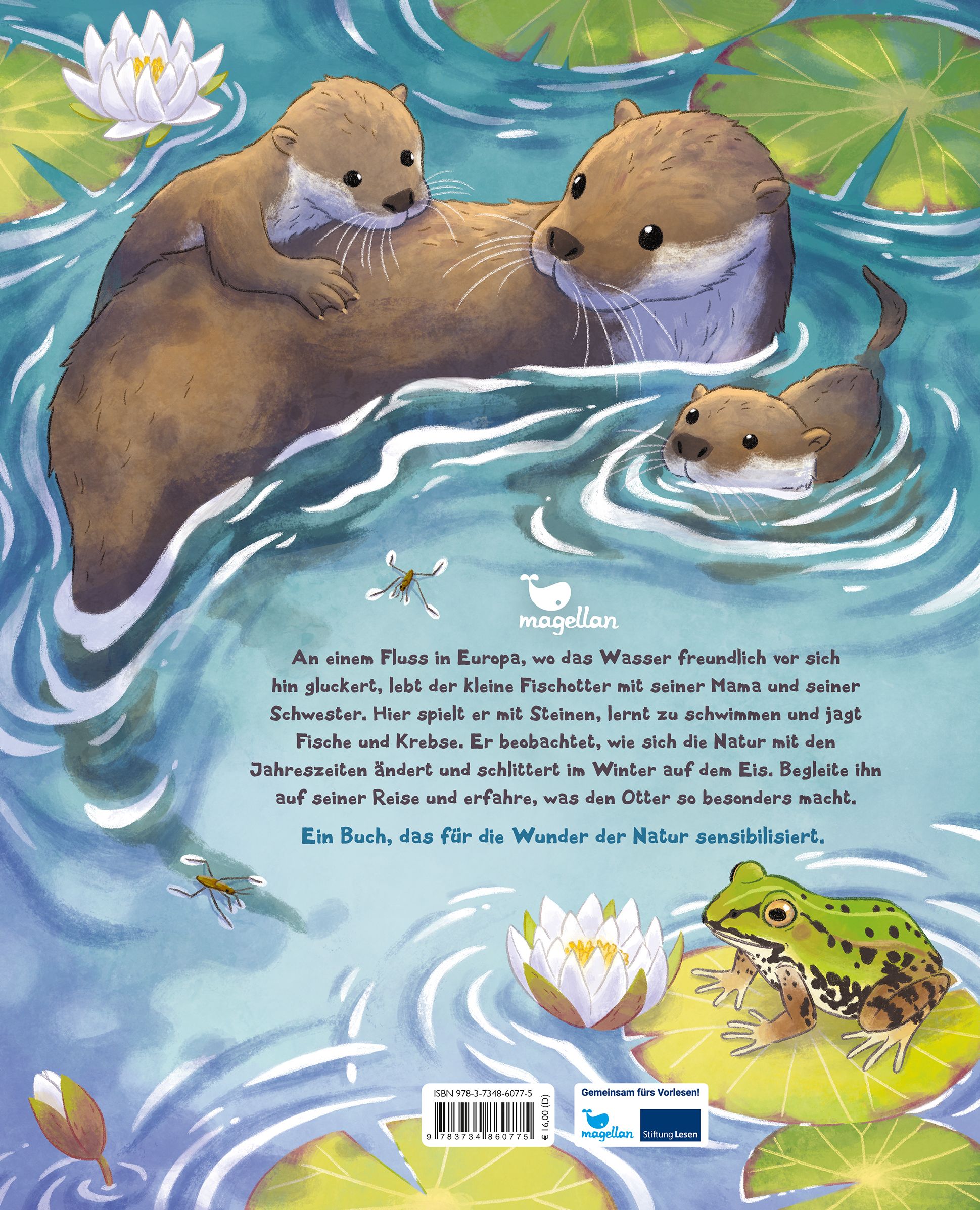 Der kleine Otter - Zu Hause in den Flüssen Europas