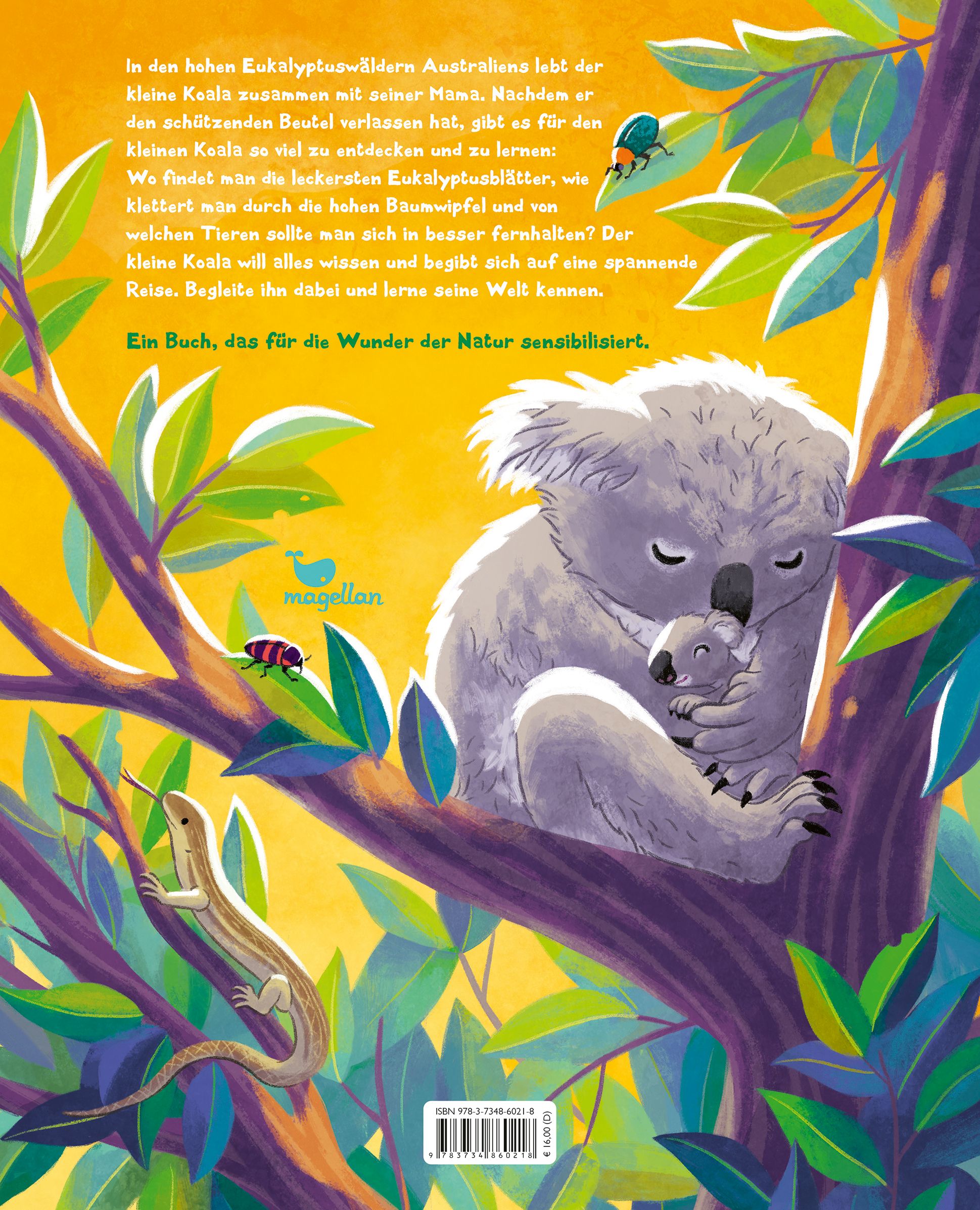 Der kleine Koala - Zu Hause im Eukalyptus