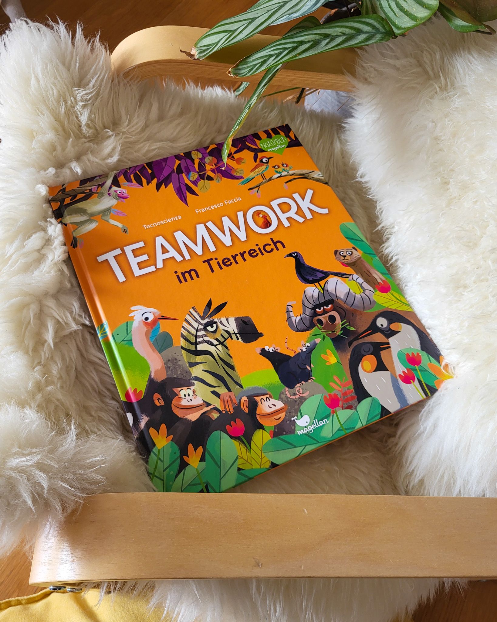 Teamwork im Tierreich