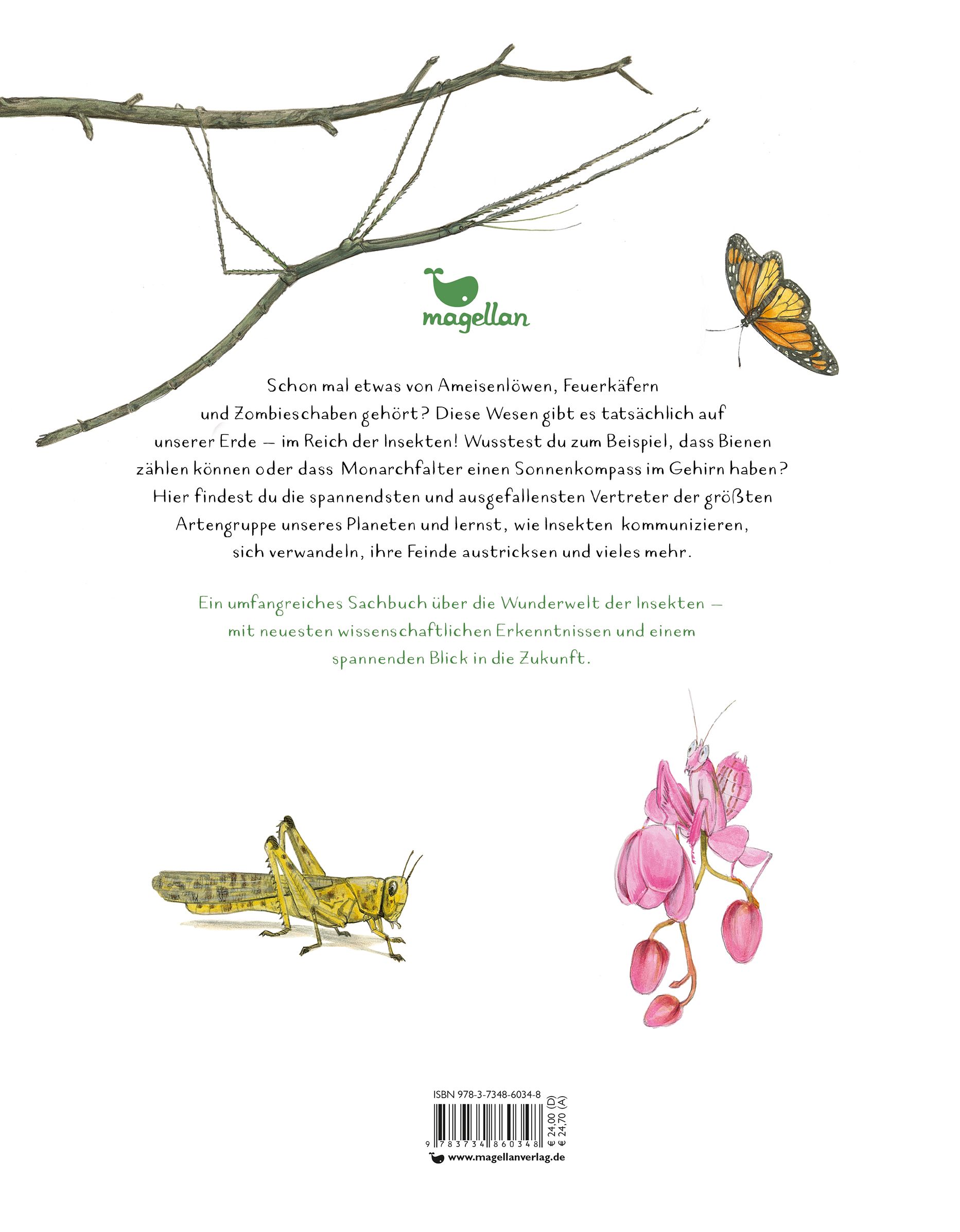 Insekten - Kleine Lebewesen, große Vielfalt