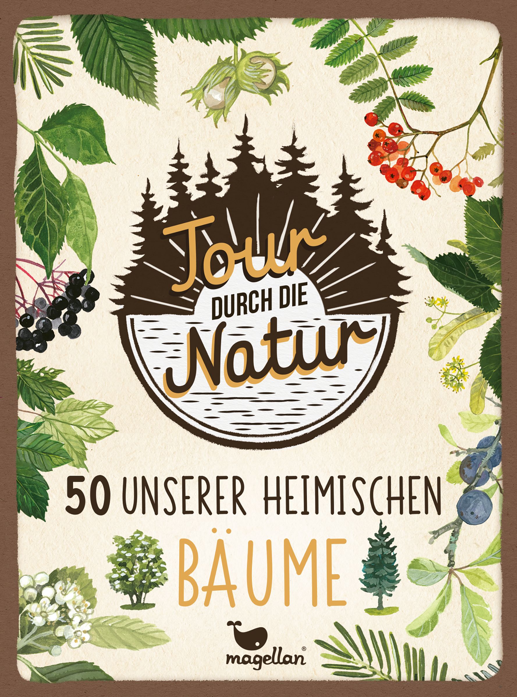 Tour durch die Natur - 50 unserer heimischen Bäume