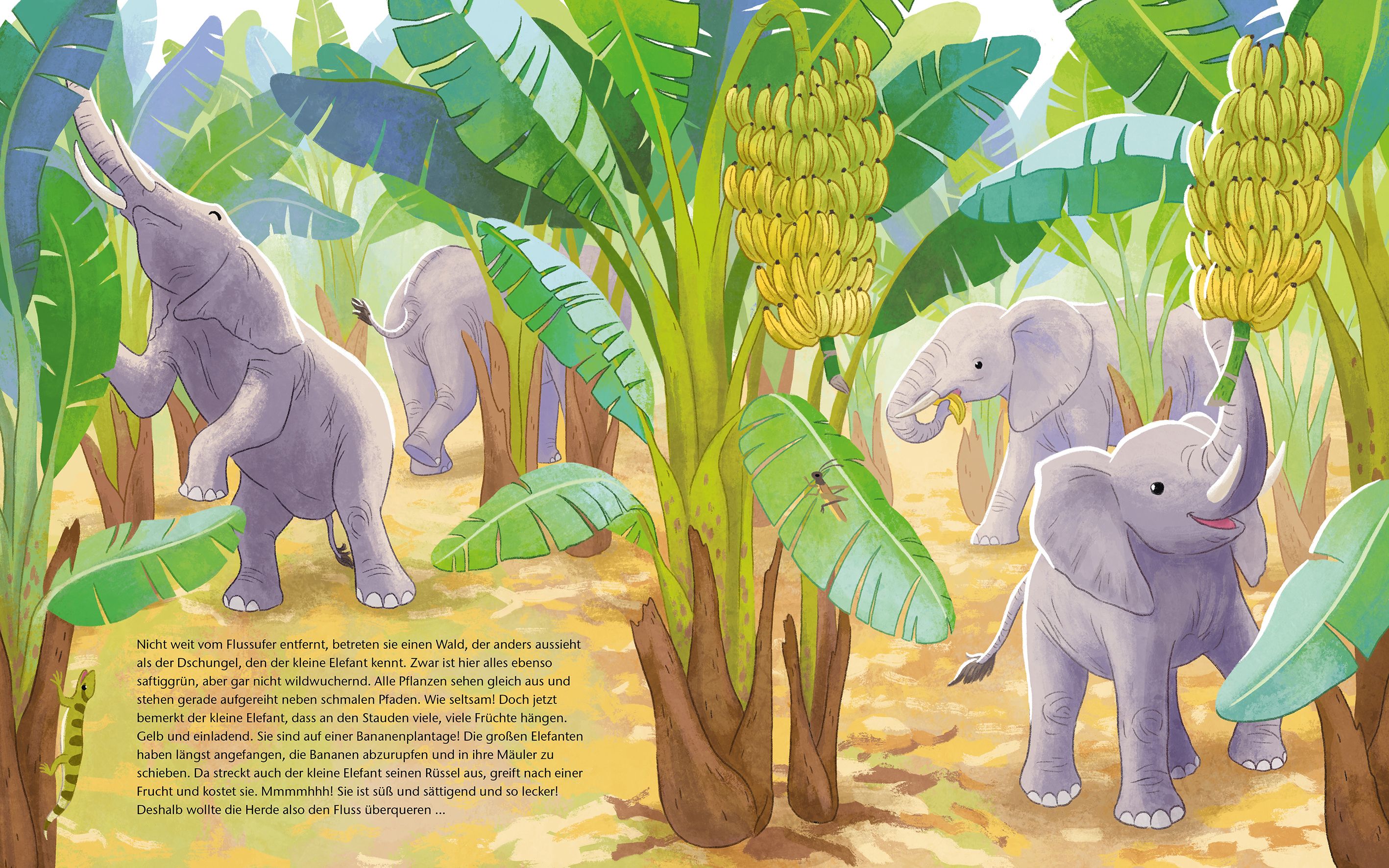 Der kleine Waldelefant - Zu Hause in Afrika