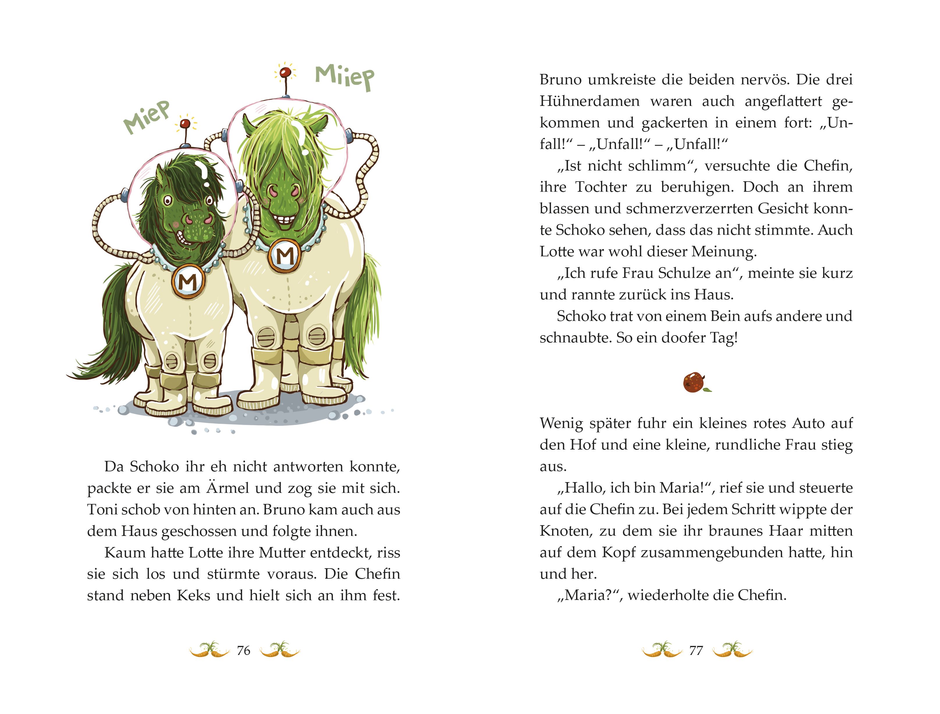 Die Haferhorde - Flausen im Schopf