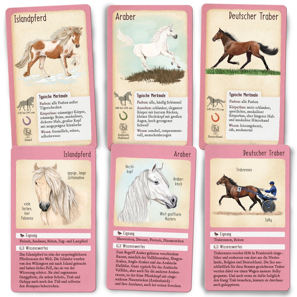Tour durch die Natur - 50 Pferde und Ponys