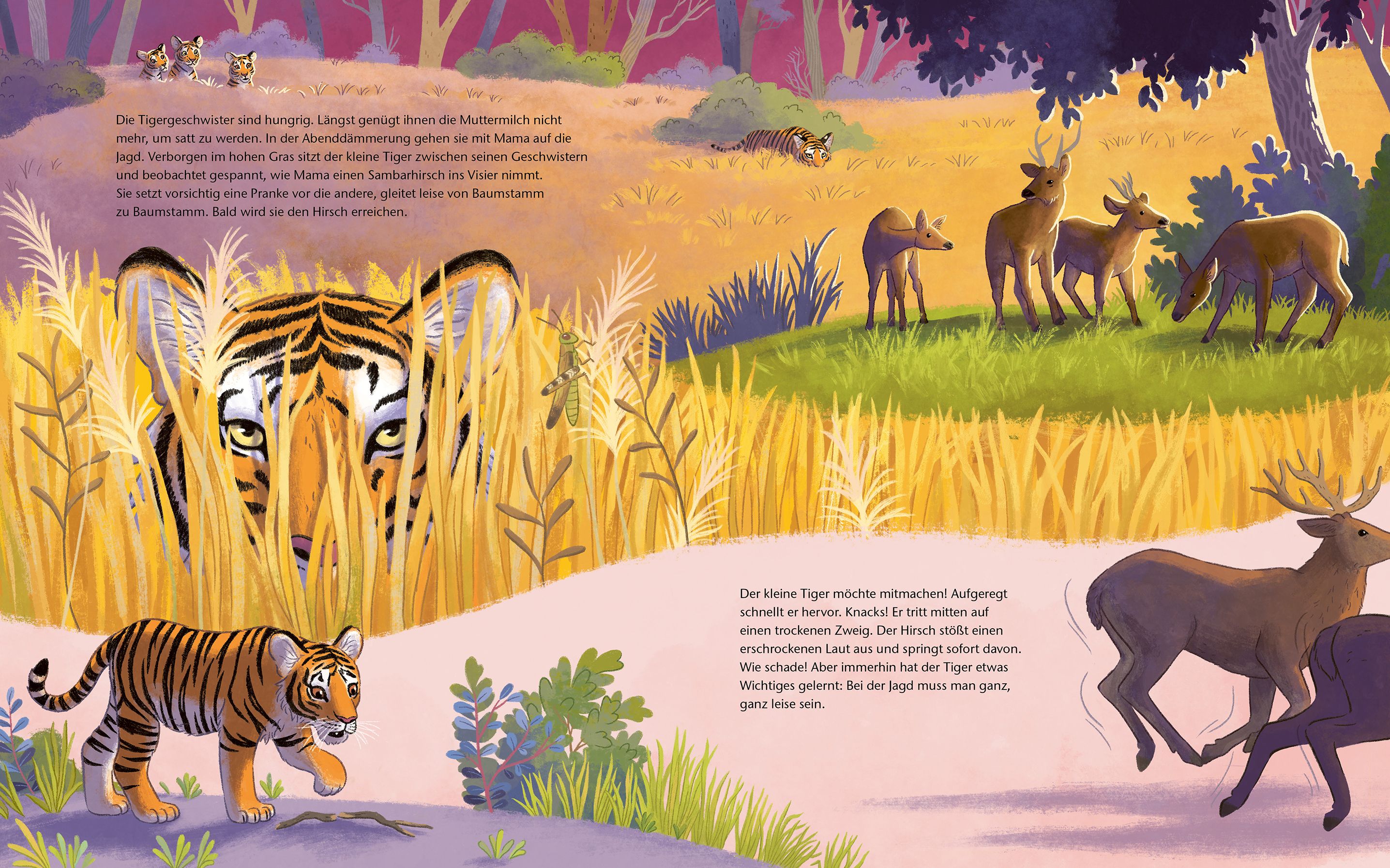 Der kleine Tiger - Zu Hause in Indien