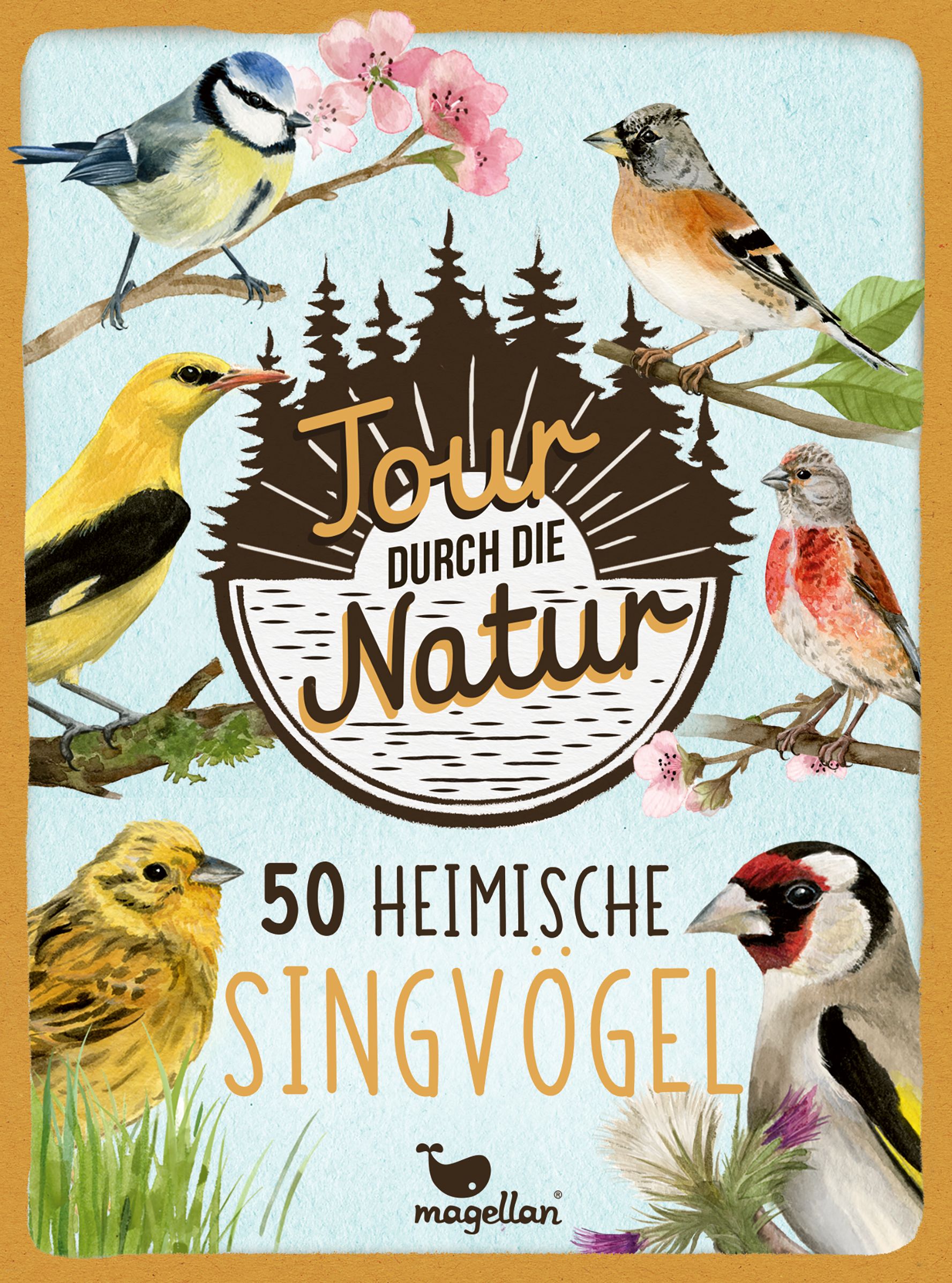 Tour durch die Natur - 50 heimische Singvögel