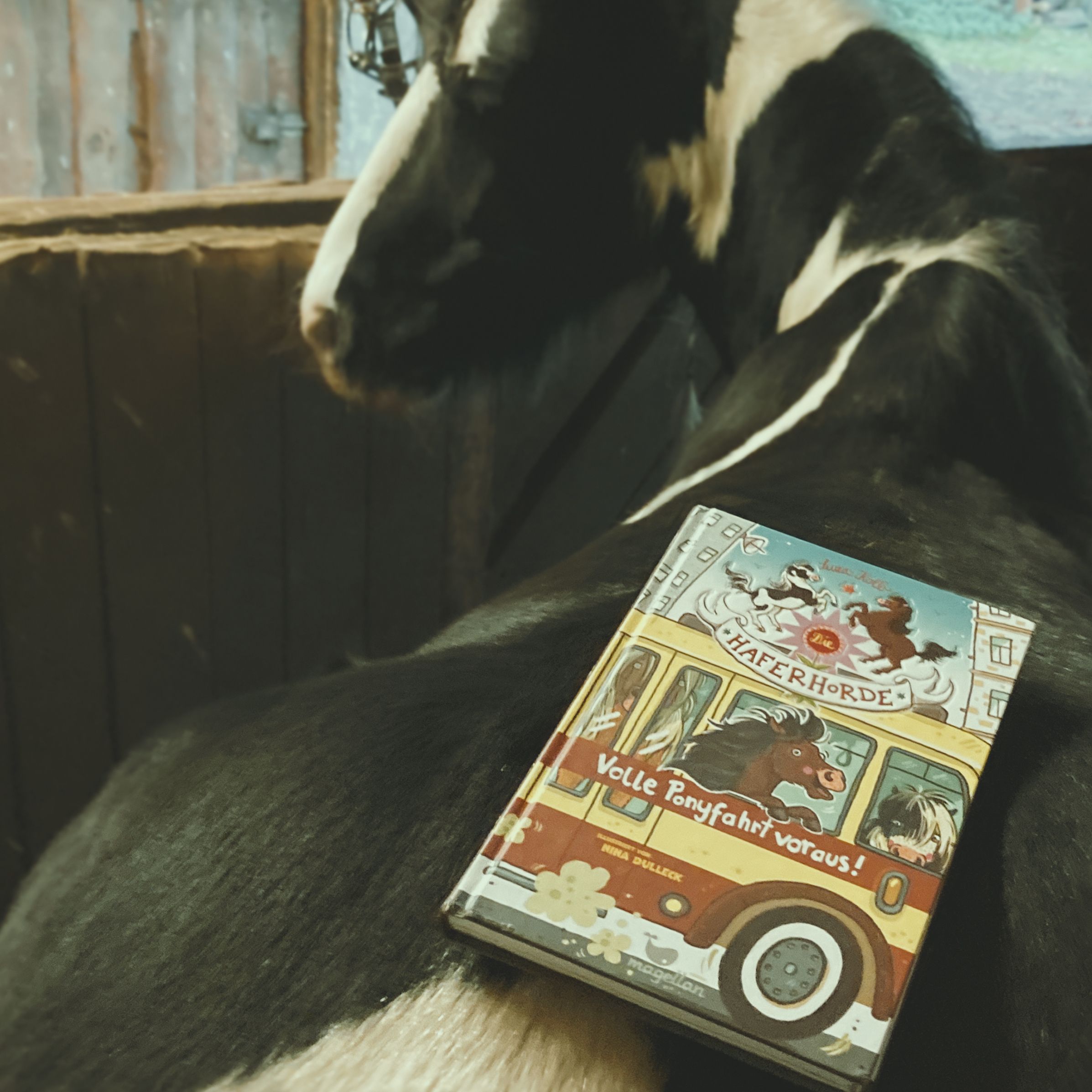 Die Haferhorde - Volle Ponyfahrt voraus!