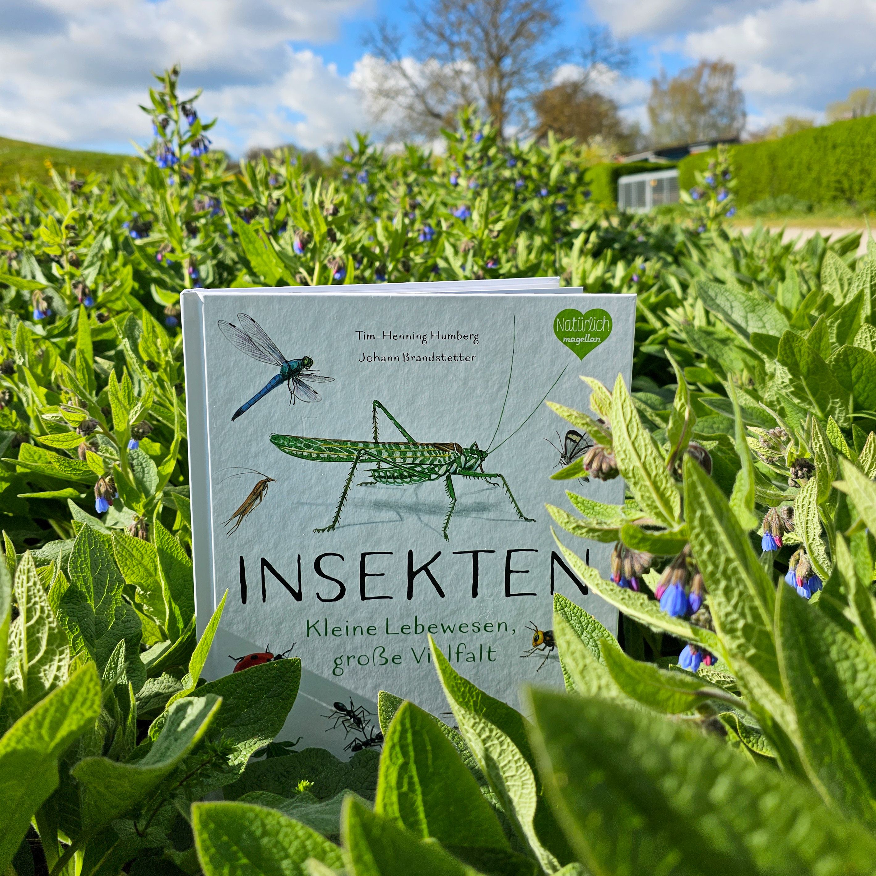 Insekten - Kleine Lebewesen, große Vielfalt