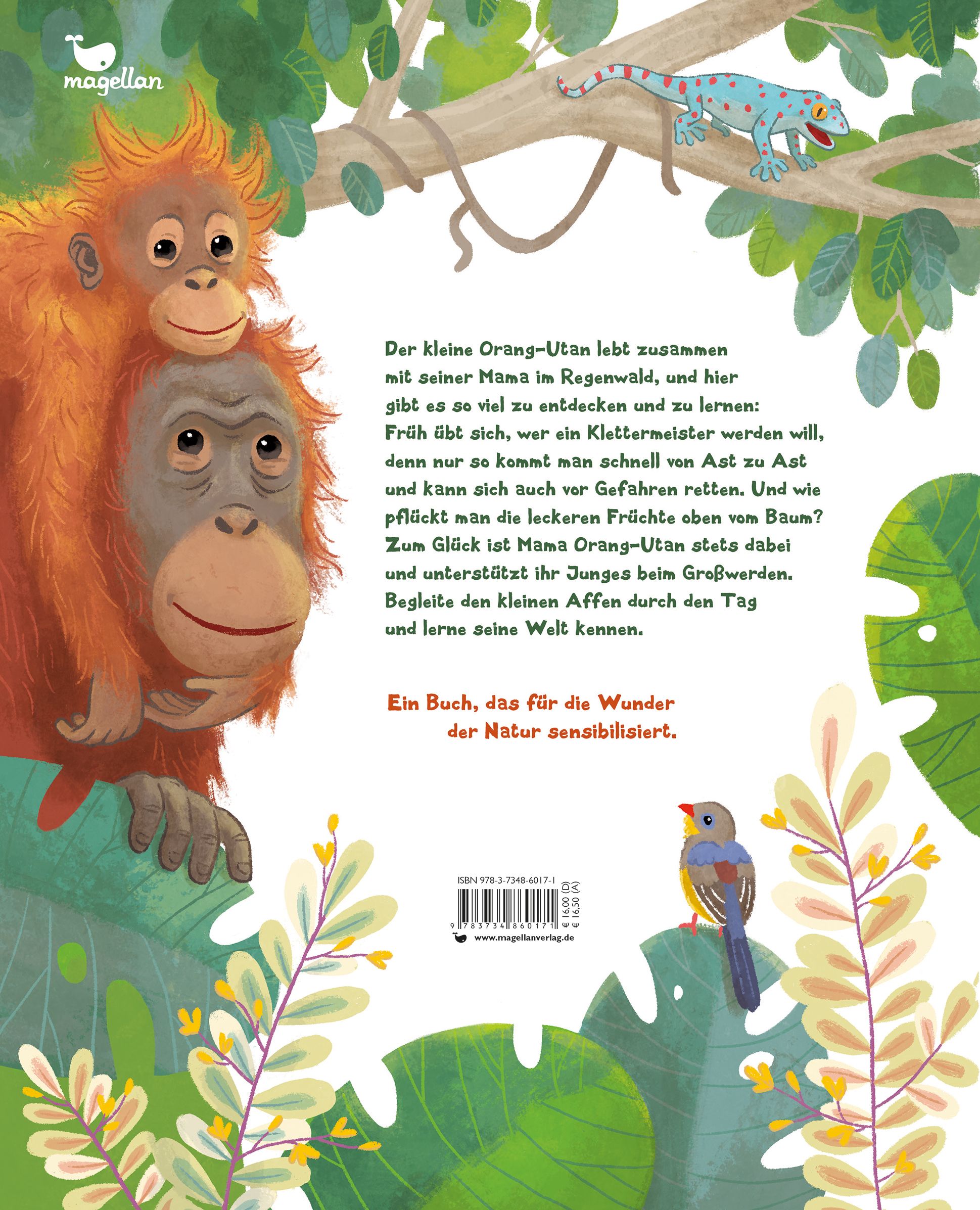 Der kleine Orang-Utan - Zu Hause im Regenwald