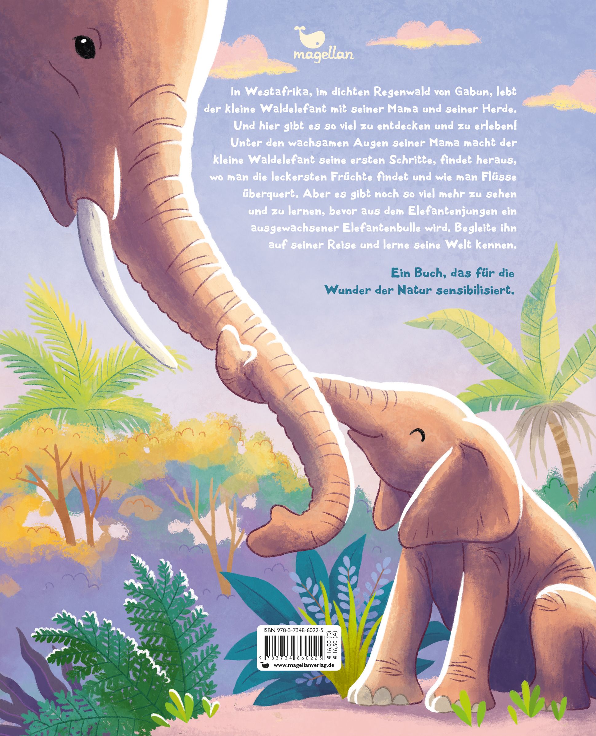 Der kleine Waldelefant - Zu Hause in Afrika