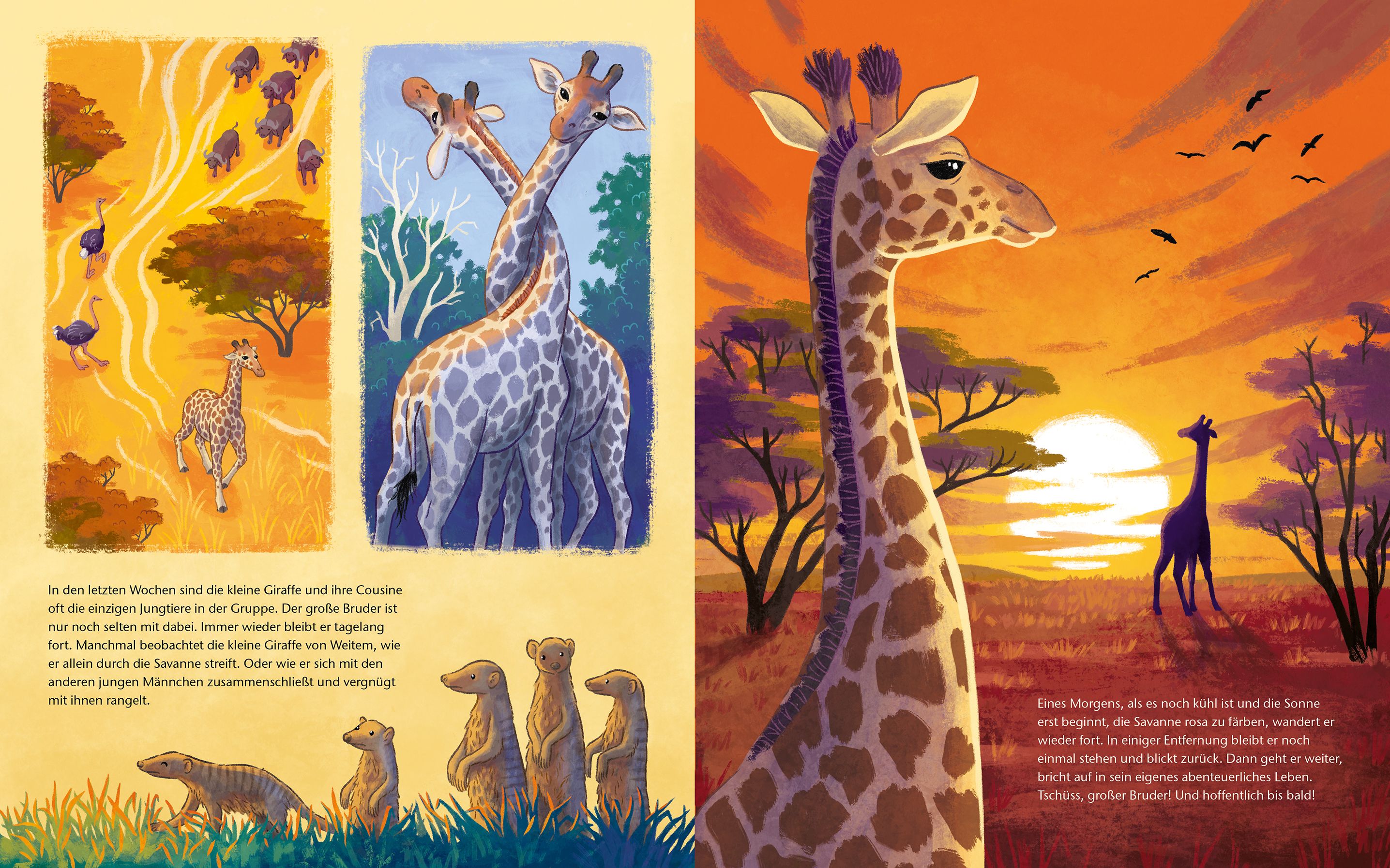 Die kleine Giraffe - Zu Hause in der Savanne