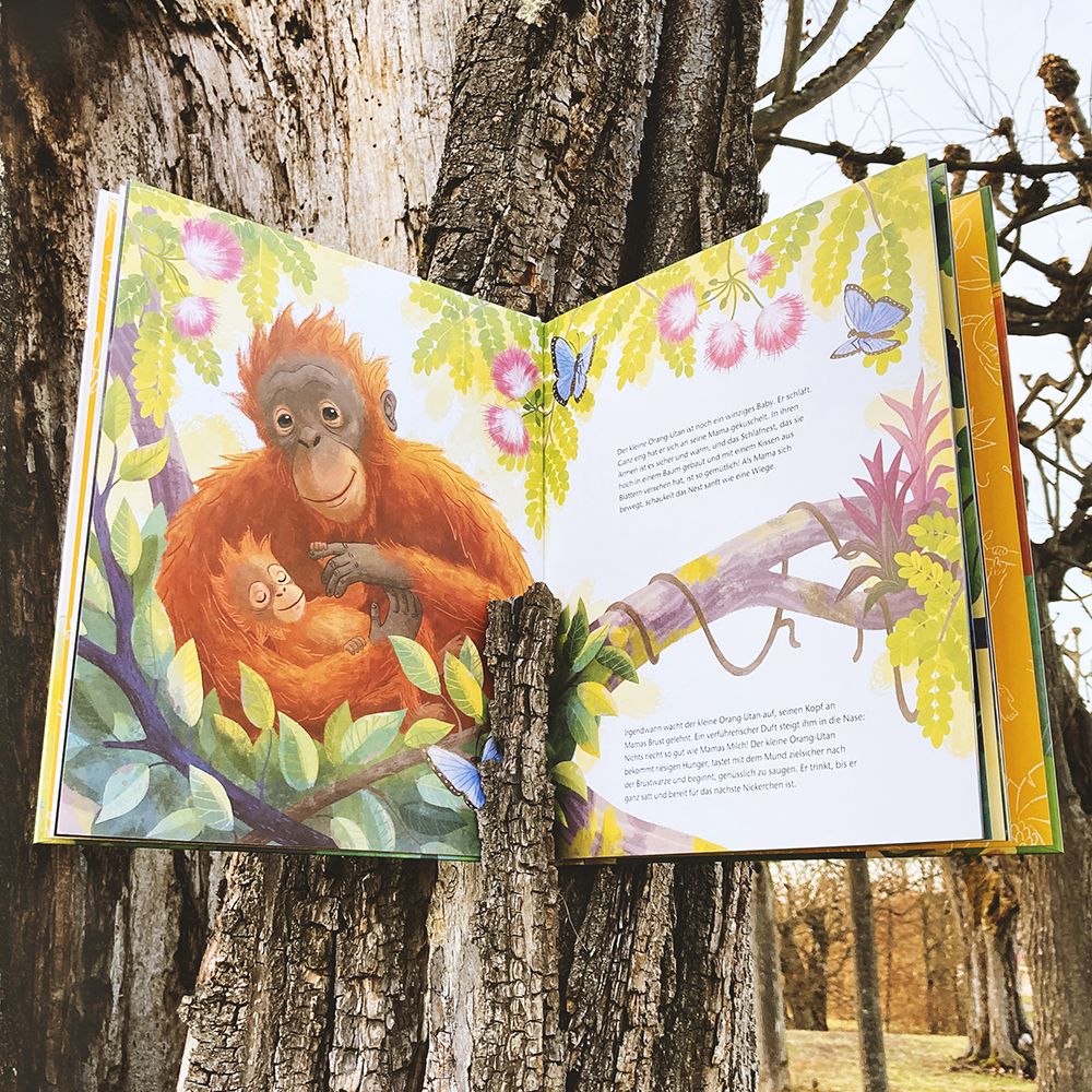 Der kleine Orang-Utan - Zu Hause im Regenwald