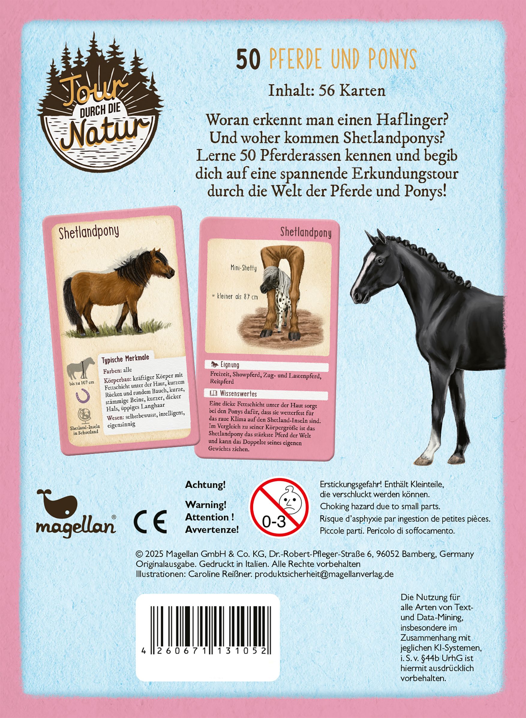Tour durch die Natur - 50 Pferde und Ponys