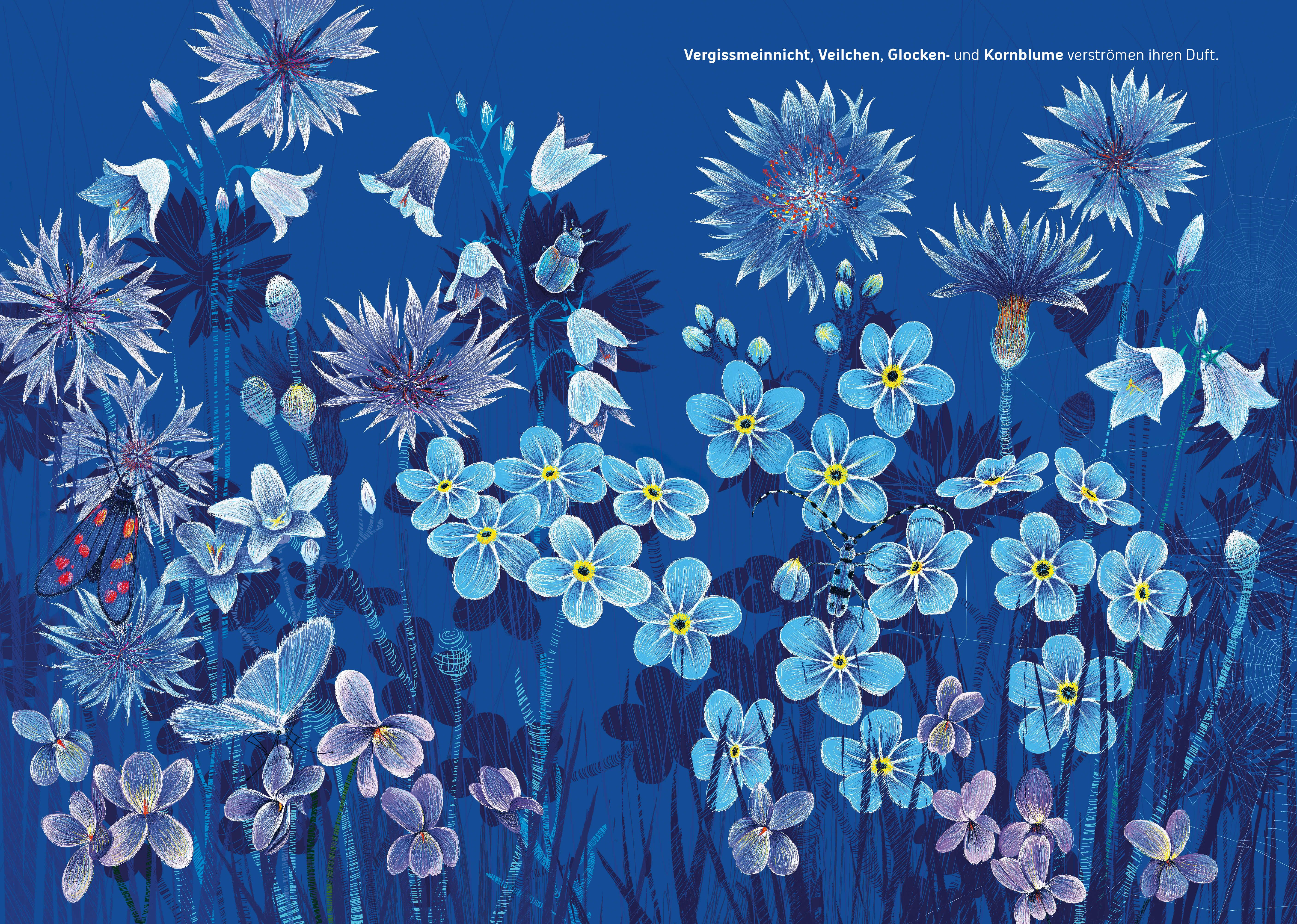 Die Blaue Stunde