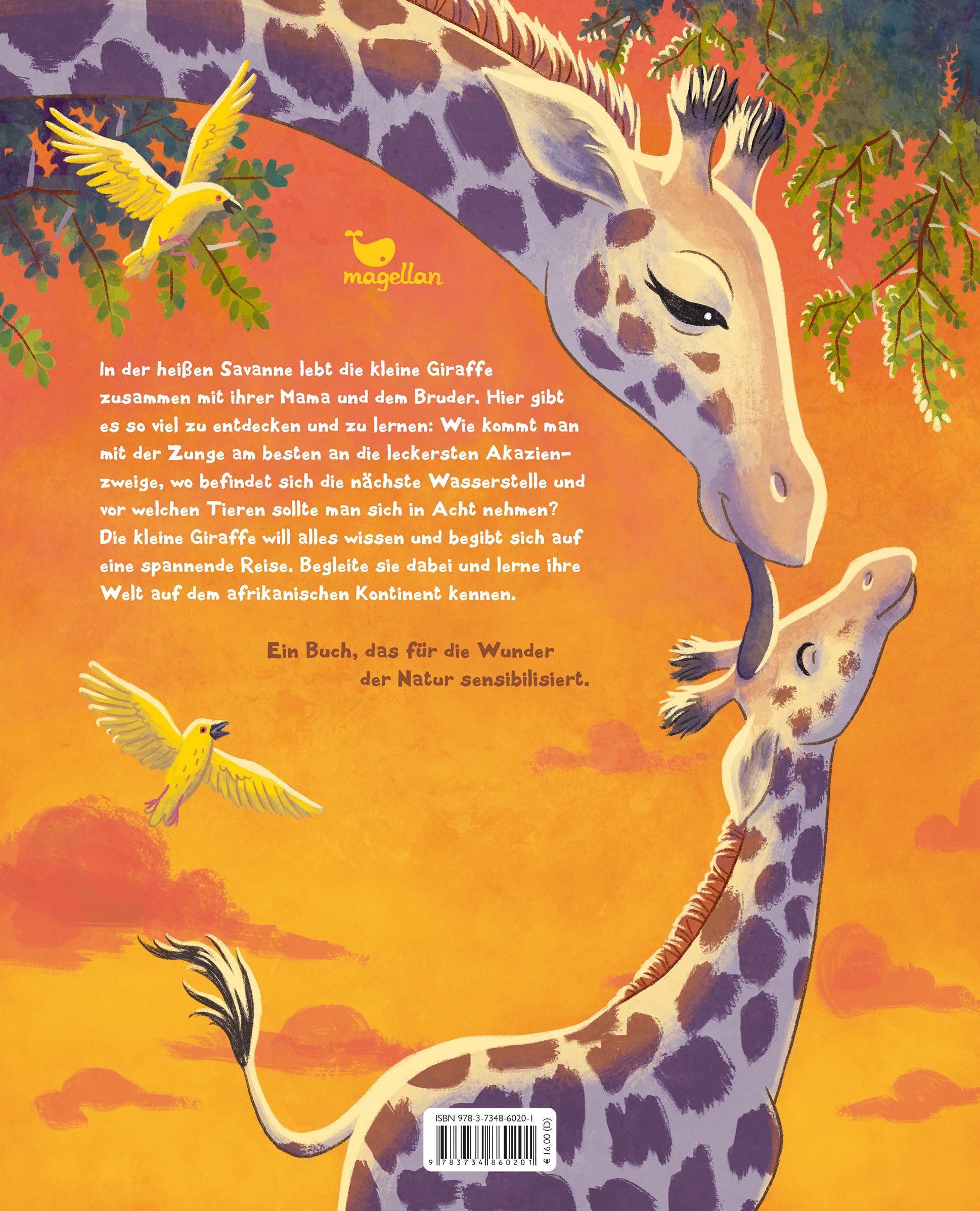 Die kleine Giraffe - Zu Hause in der Savanne