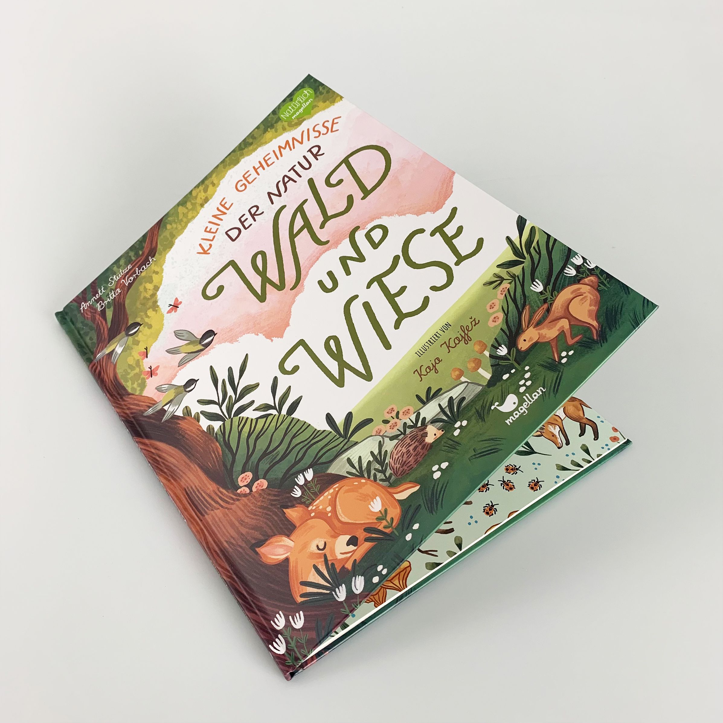 Kleine Geheimnisse der Natur - Wald und Wiese