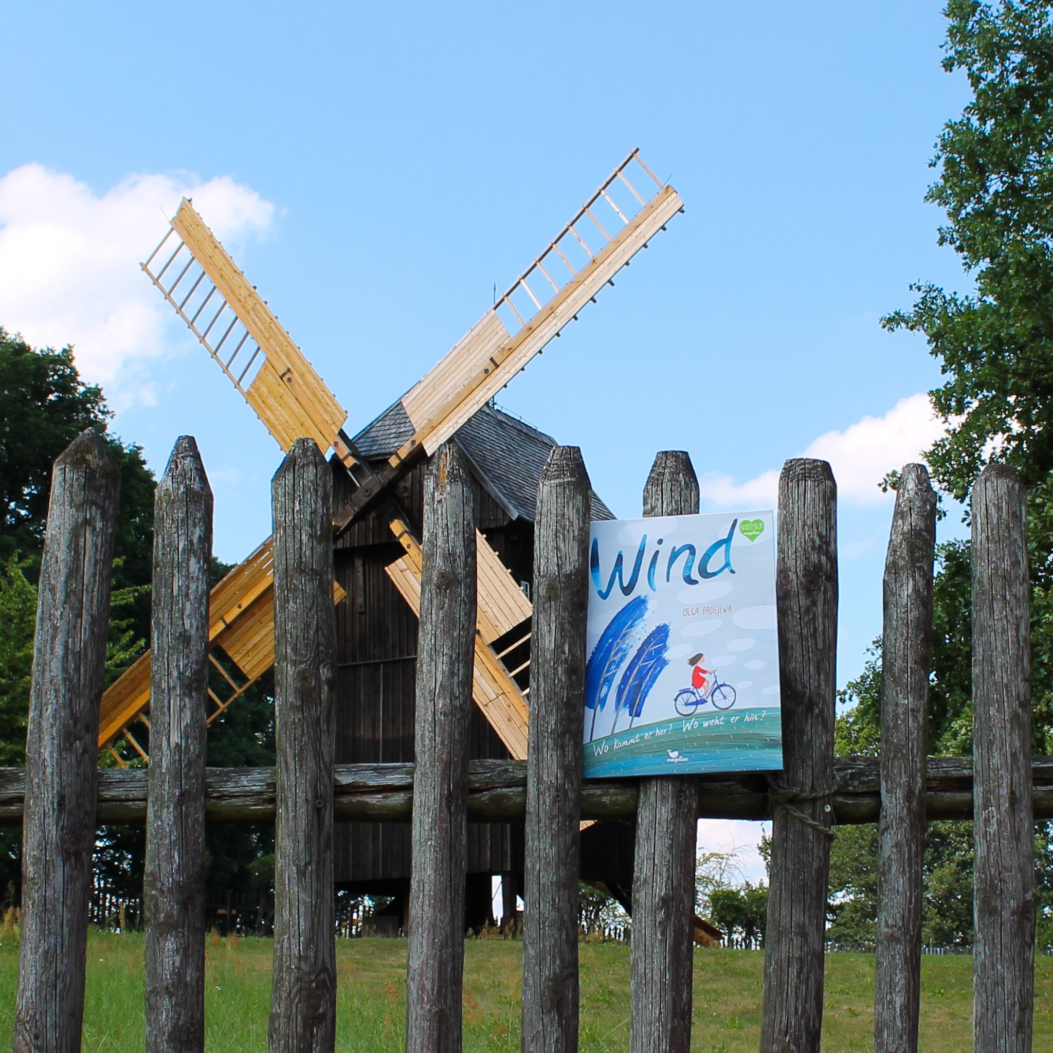 Wind - Wo kommt er her? Wo weht er hin?