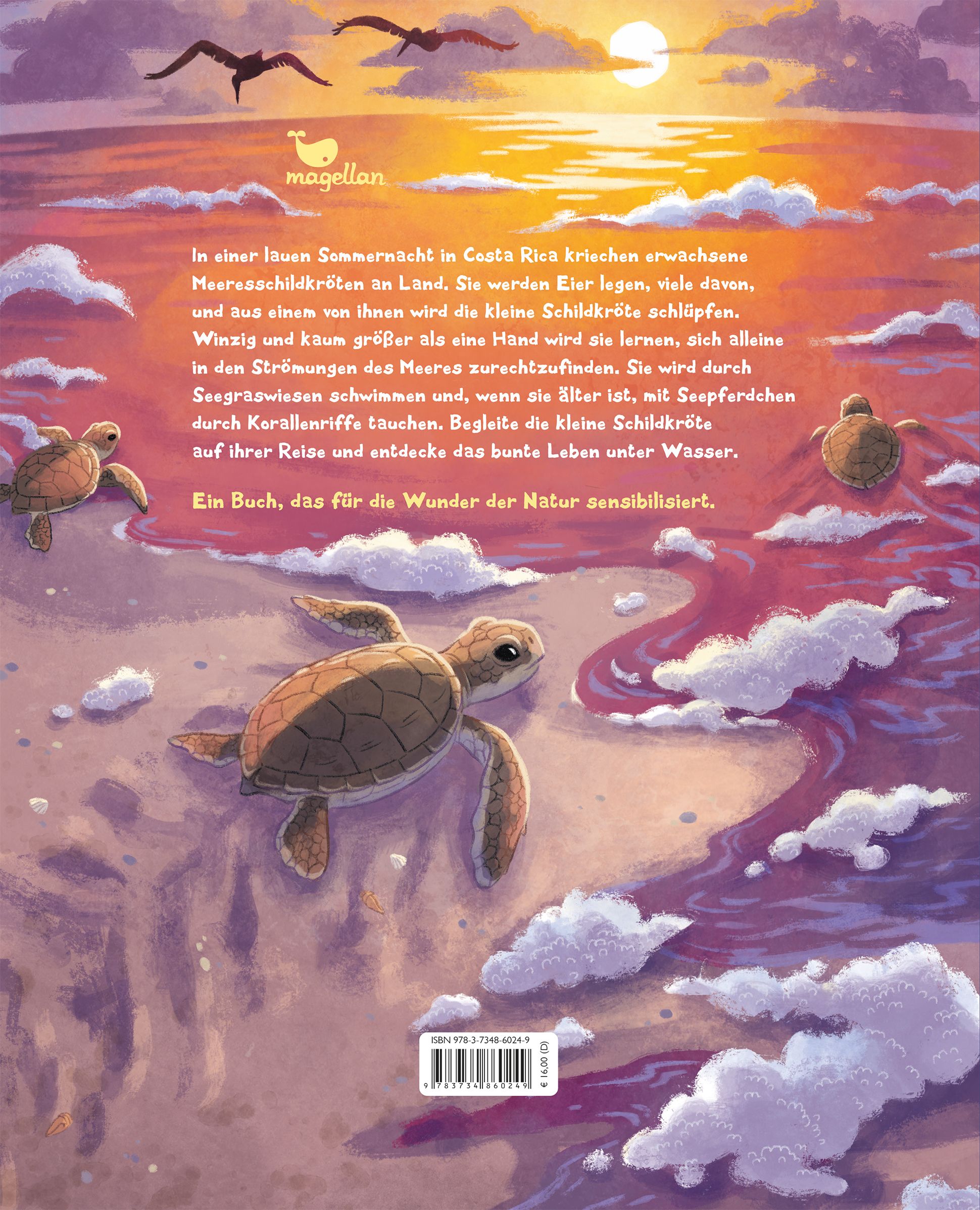 Die kleine Schildkröte - Zu Hause im Meer