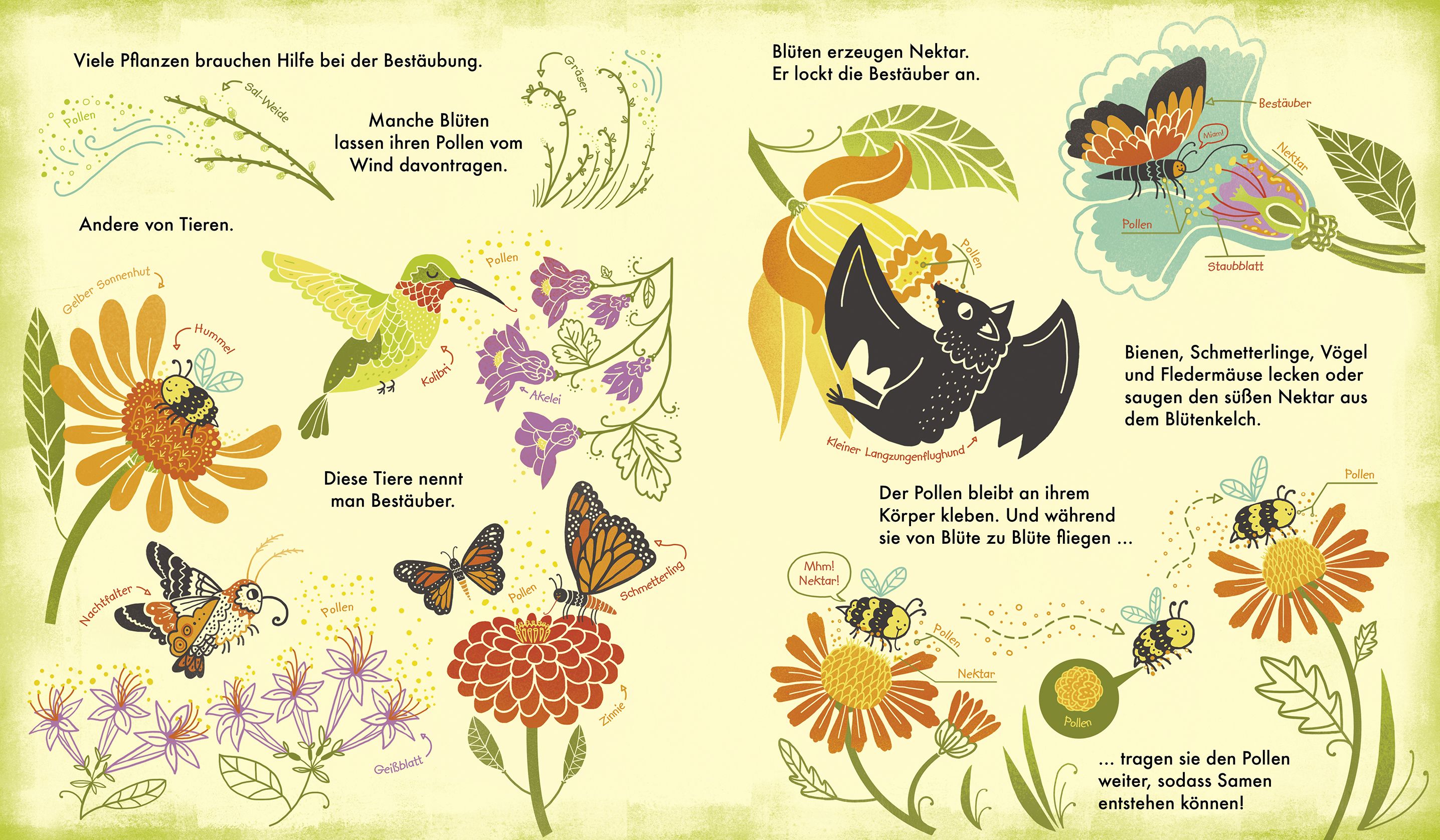 Das Wunder einer Blume - Warum Blumen und Pflanzen so wichtig sind