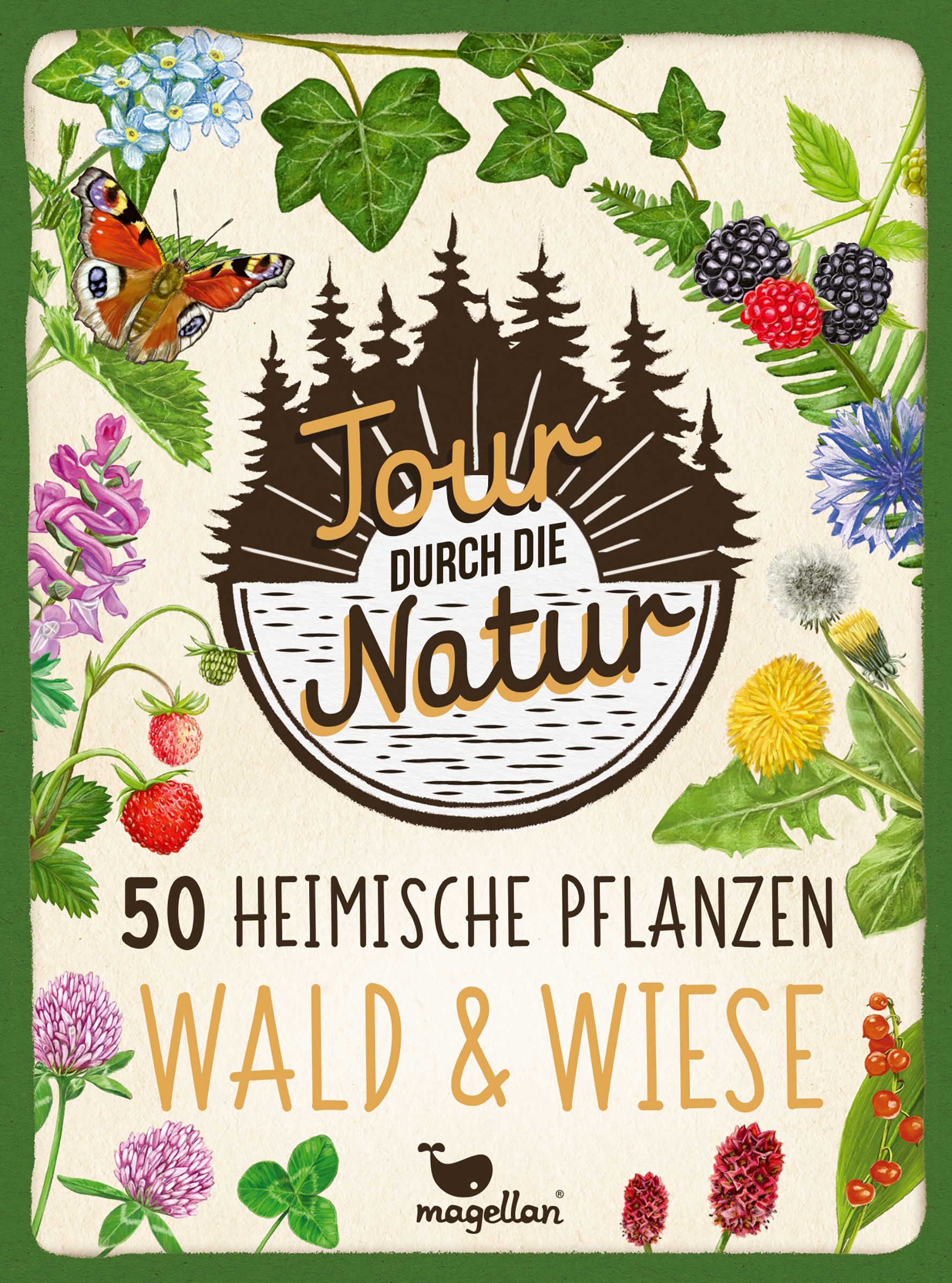 Tour durch die Natur - 50 heimische Pflanzen - Wald & Wiese