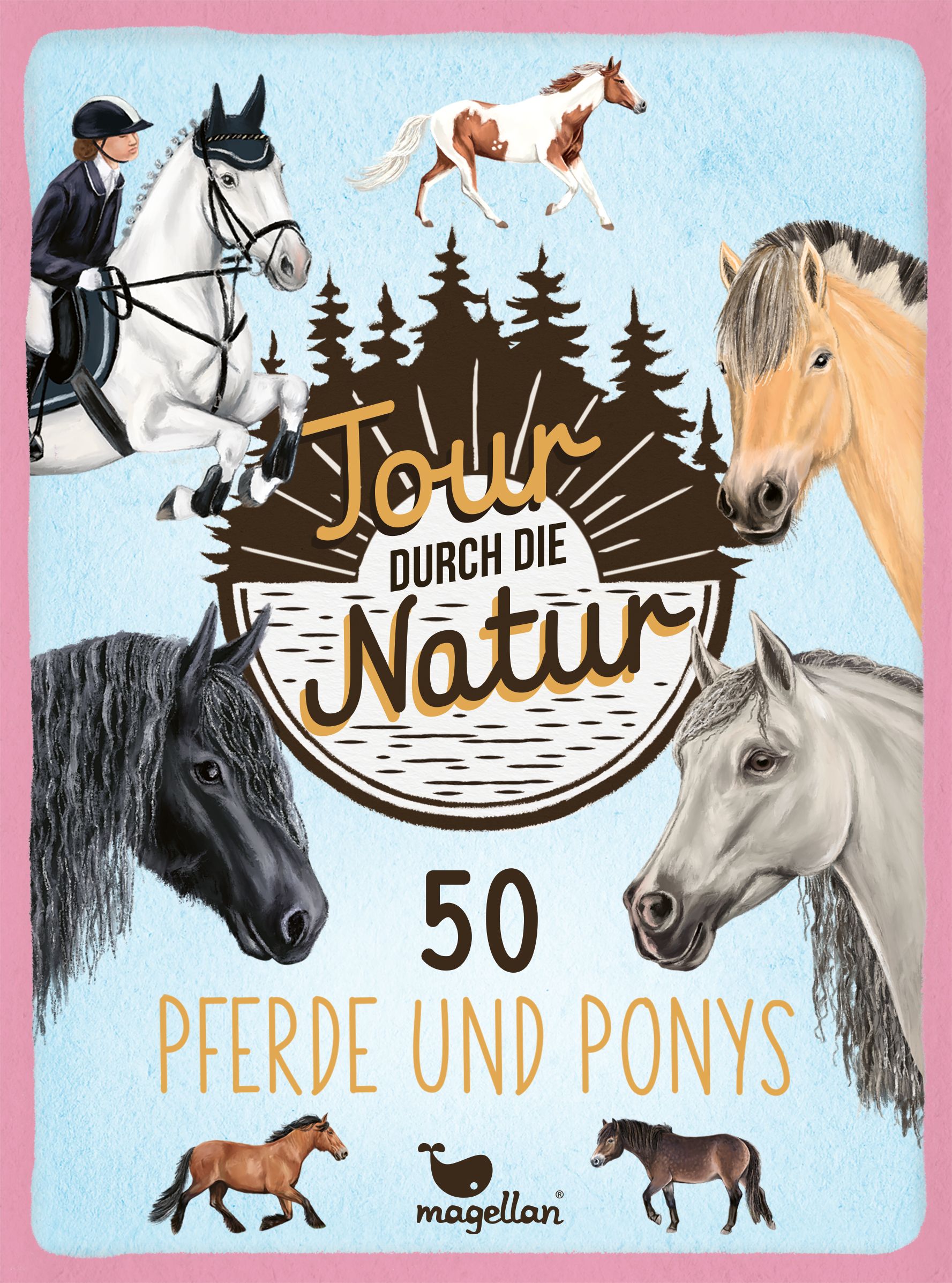 Tour durch die Natur - 50 Pferde und Ponys