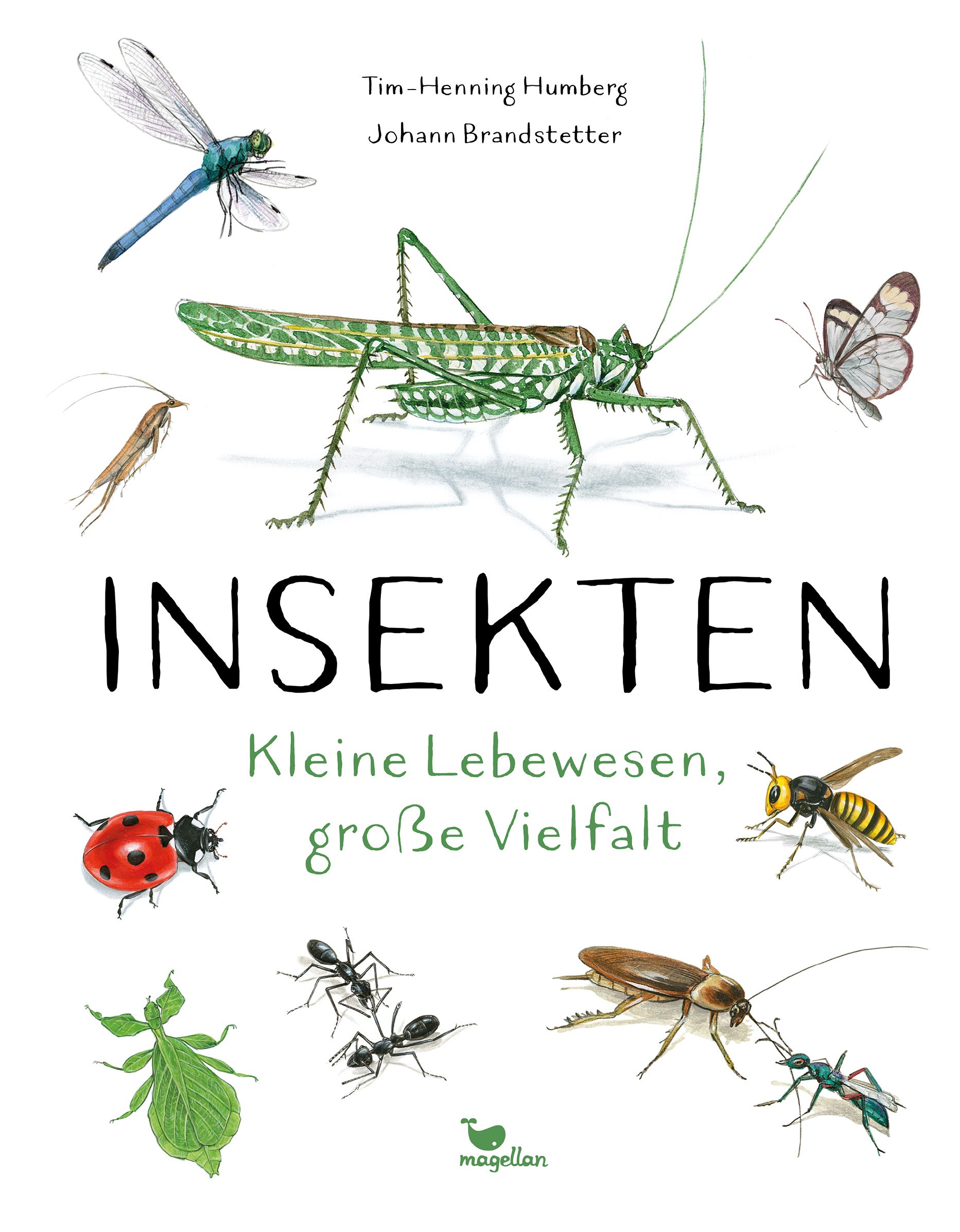 Insekten - Kleine Lebewesen, große Vielfalt