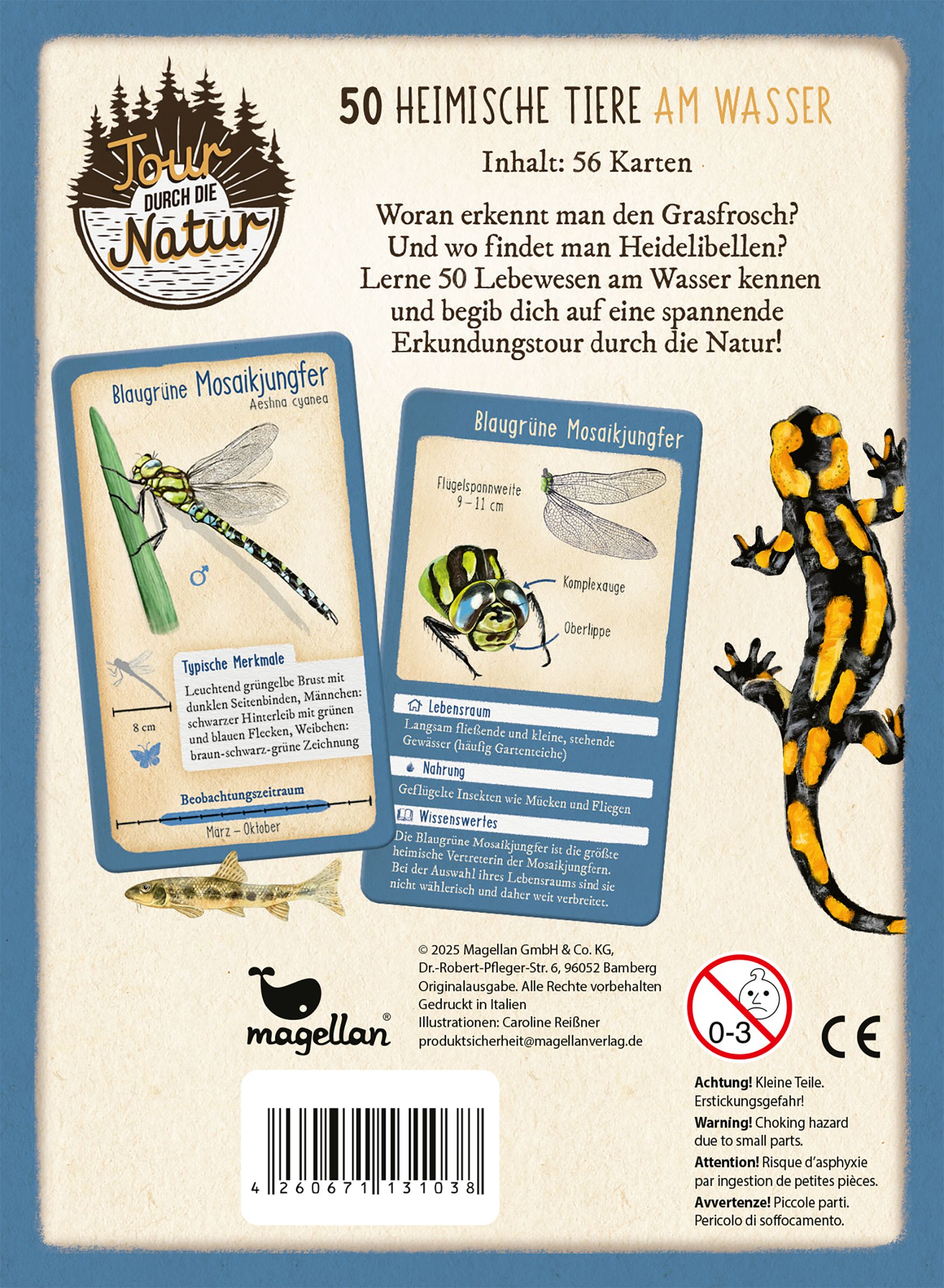 Tour durch die Natur - 50 heimische Tiere am Wasser