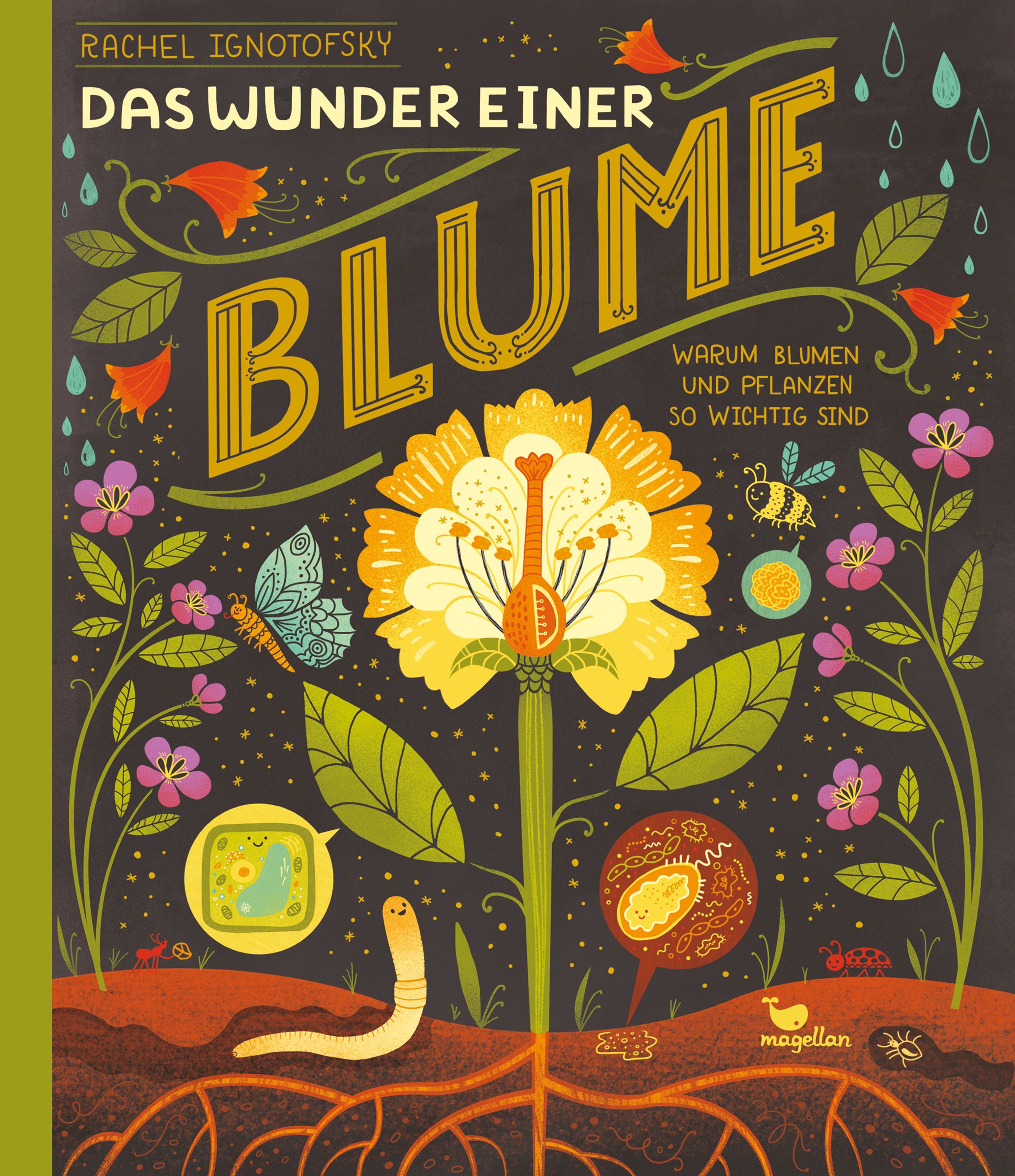 Das Wunder einer Blume - Warum Blumen und Pflanzen so wichtig sind
