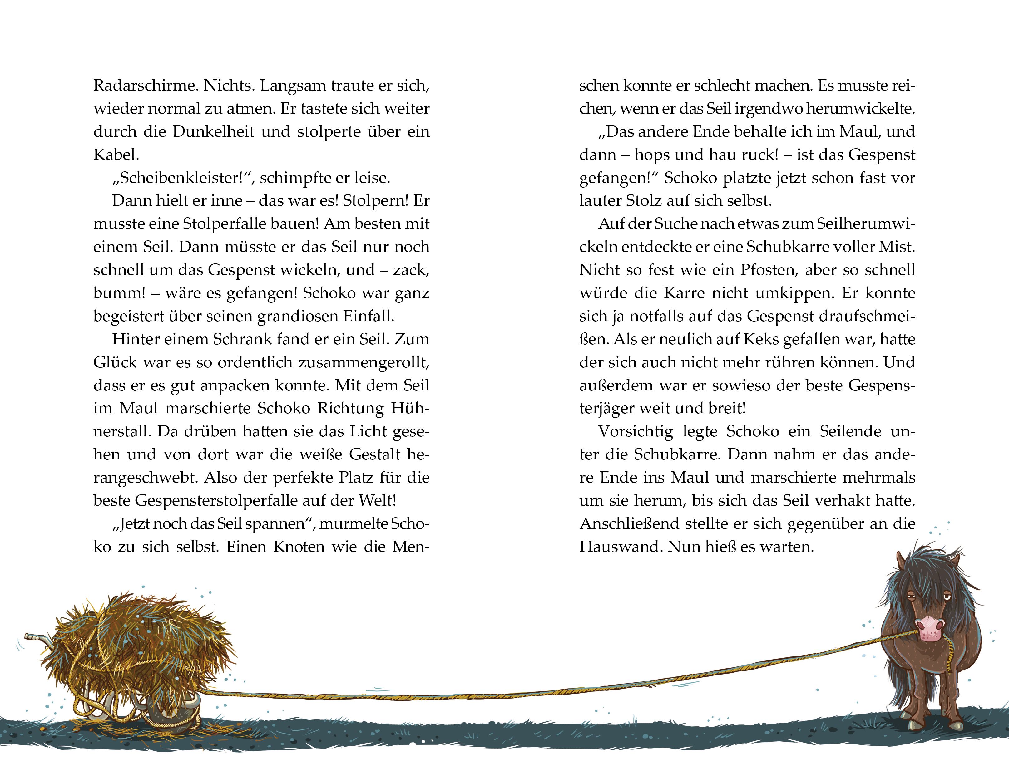 Die Haferhorde - Flausen im Schopf