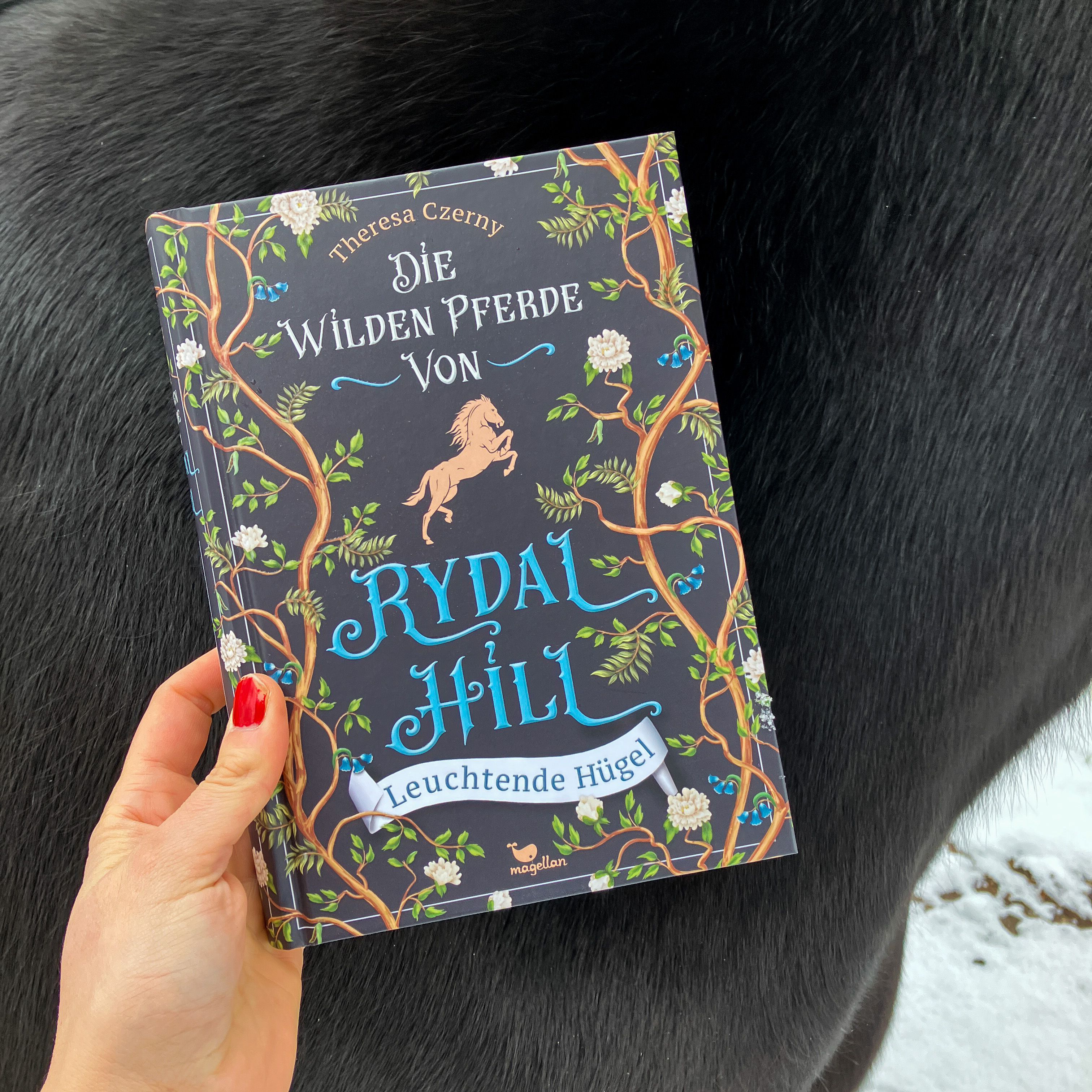 Die wilden Pferde von Rydal Hill - Leuchtende Hügel