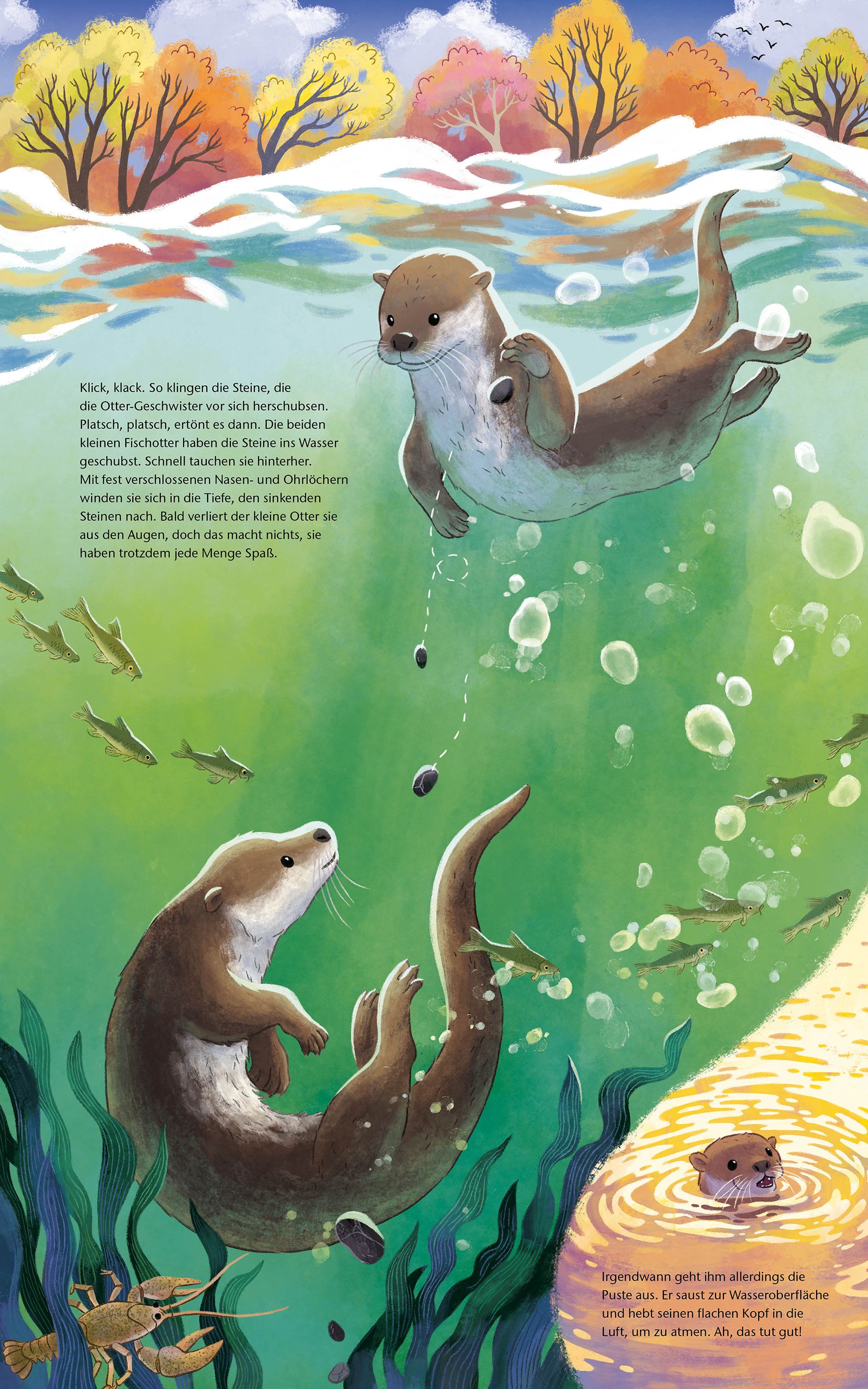 Der kleine Otter - Zu Hause in den Flüssen Europas
