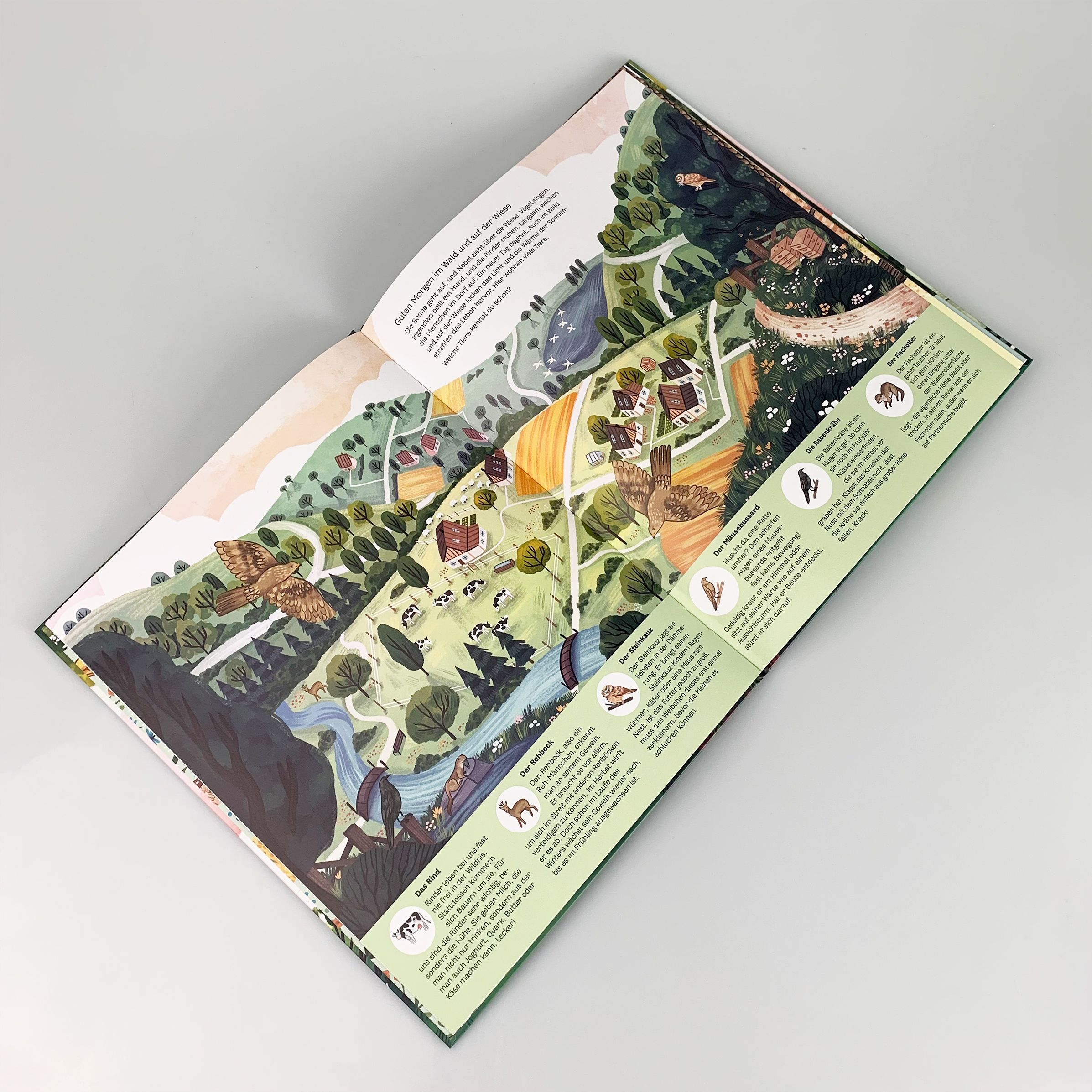 Kleine Geheimnisse der Natur - Wald und Wiese