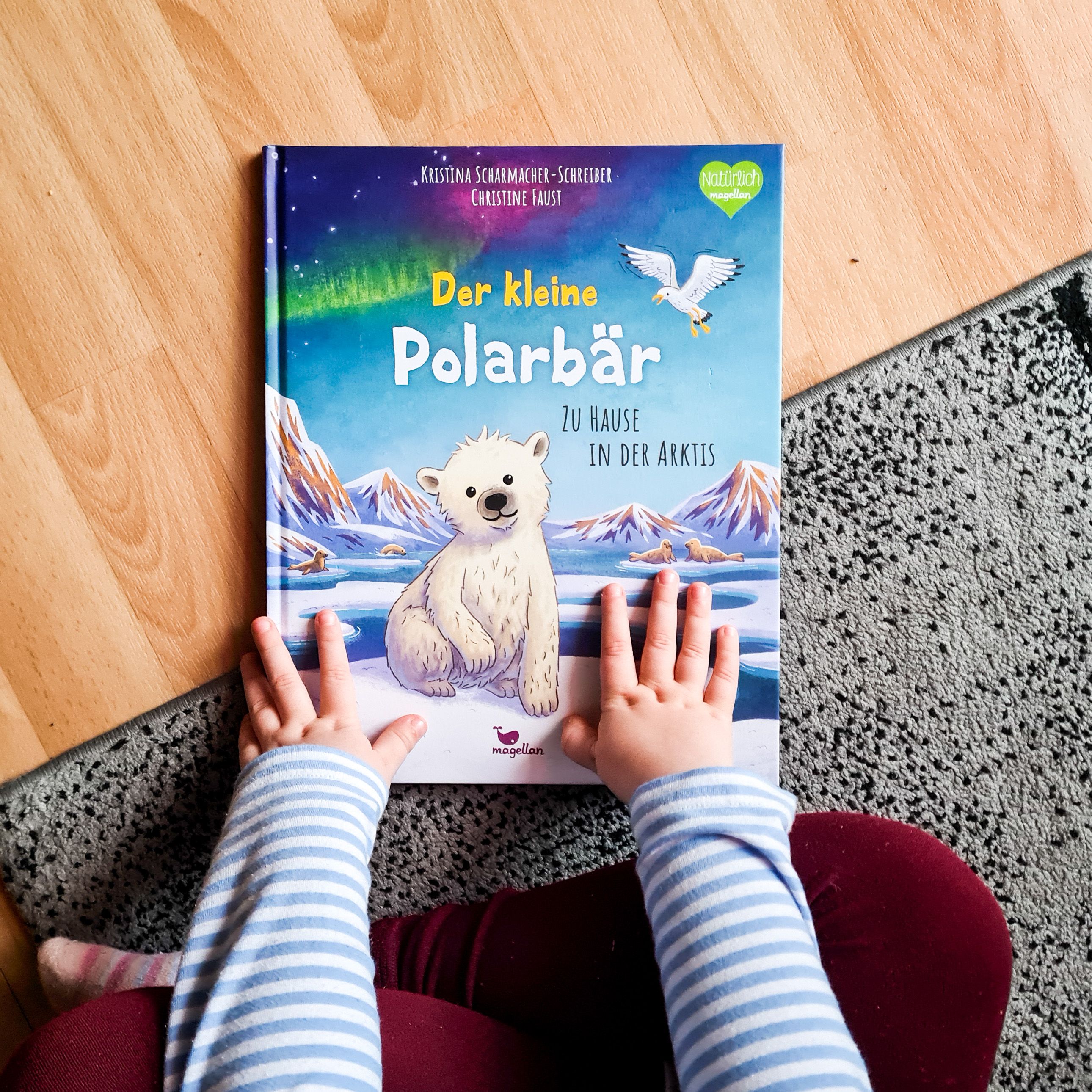 Der kleine Polarbär - Zu Hause in der Arktis