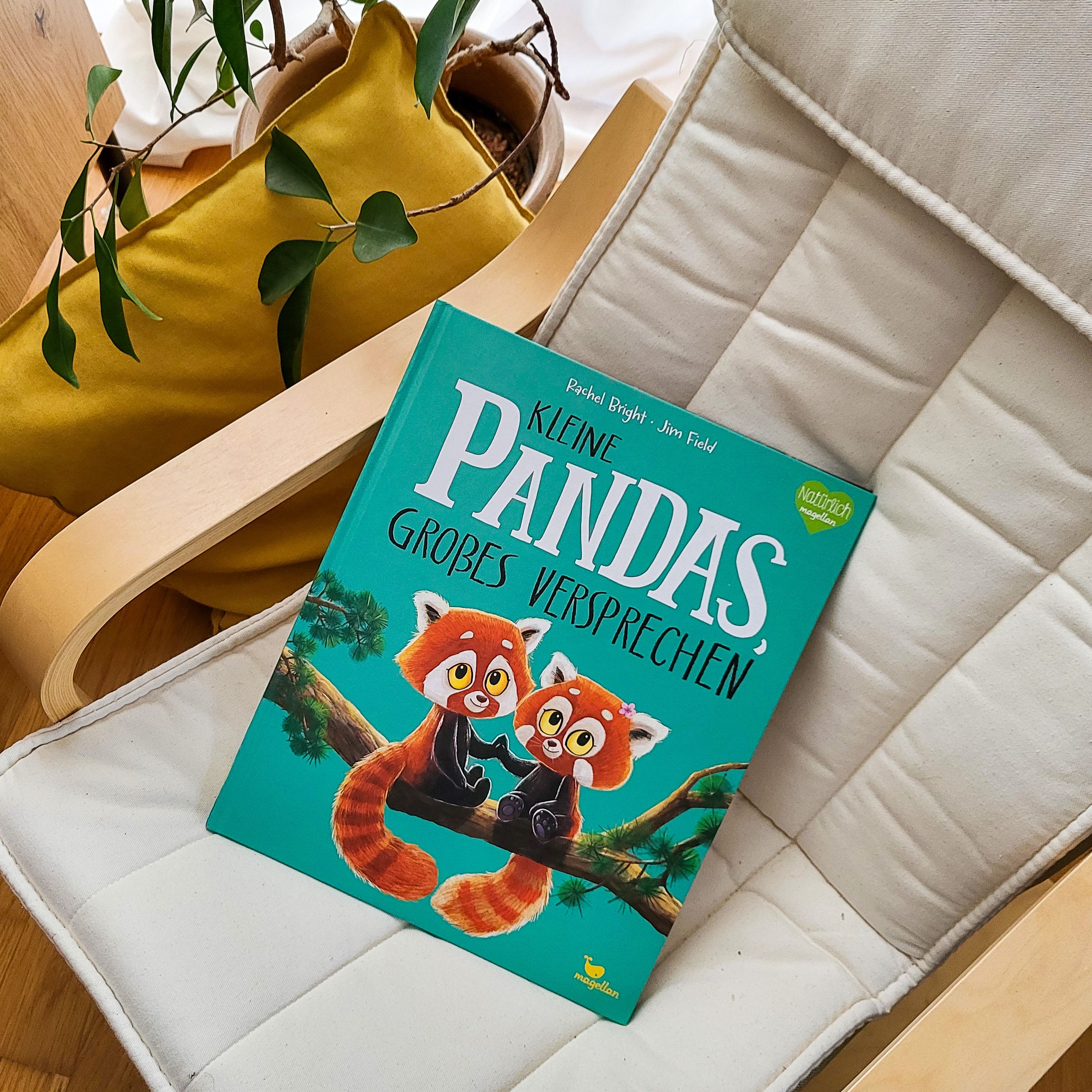 Kleine Pandas, großes Versprechen
