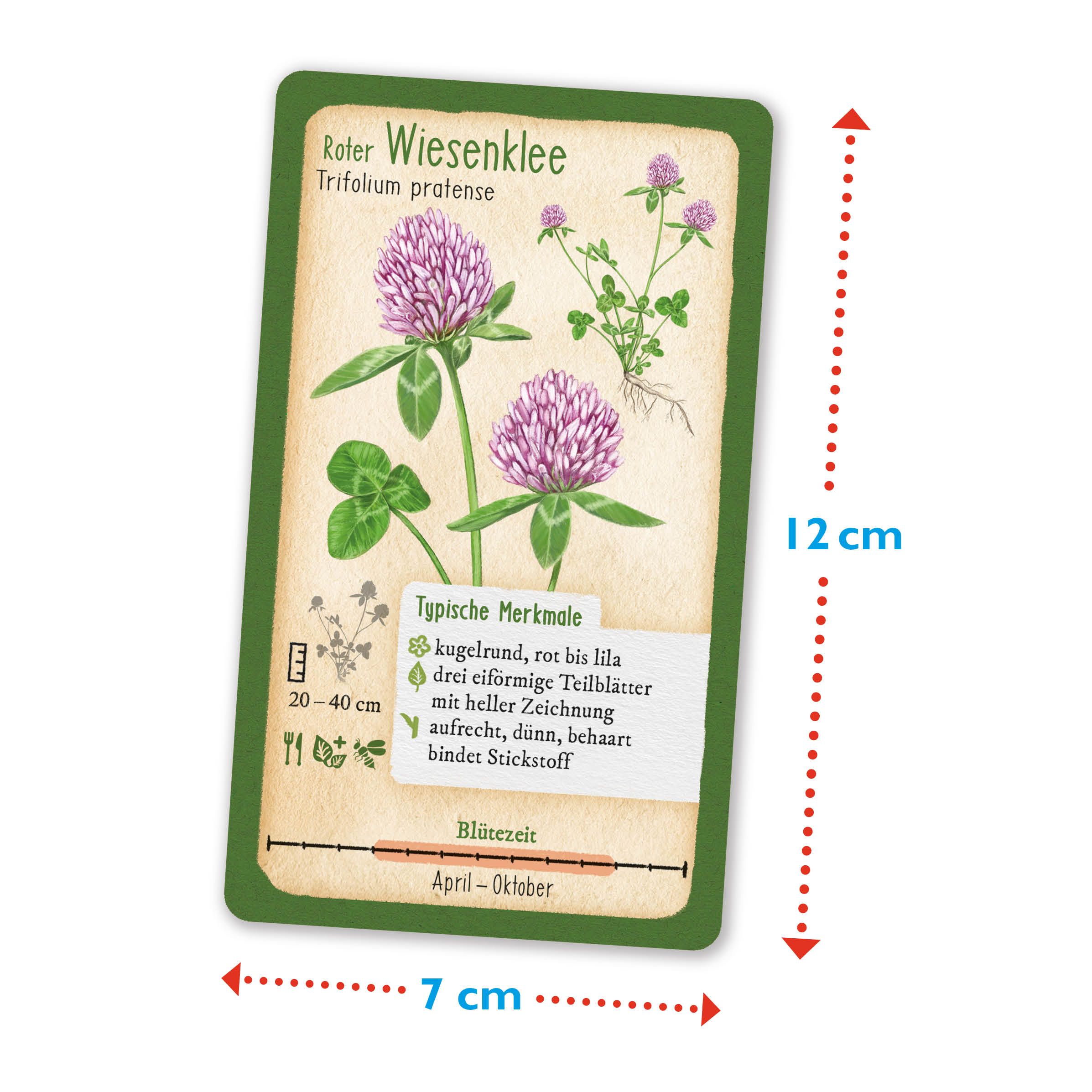 Tour durch die Natur - 50 heimische Pflanzen - Wald & Wiese