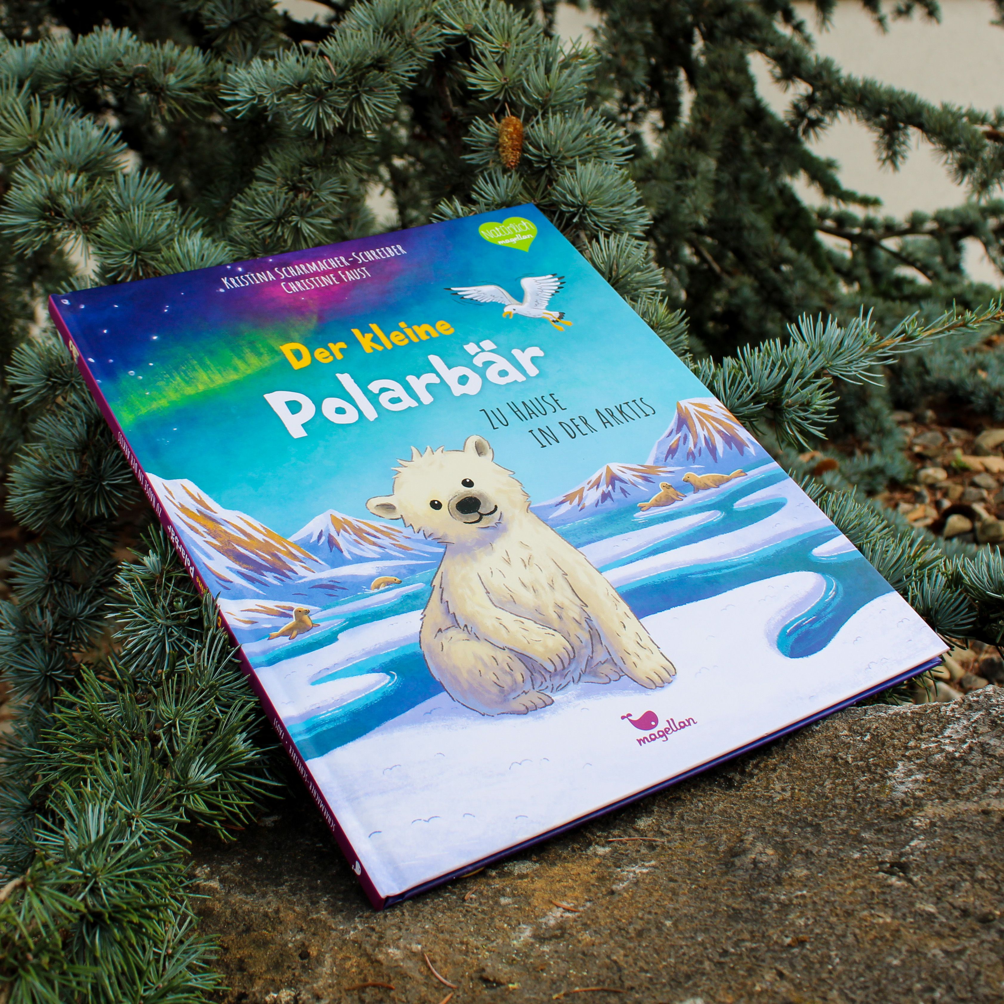 Der kleine Polarbär - Zu Hause in der Arktis