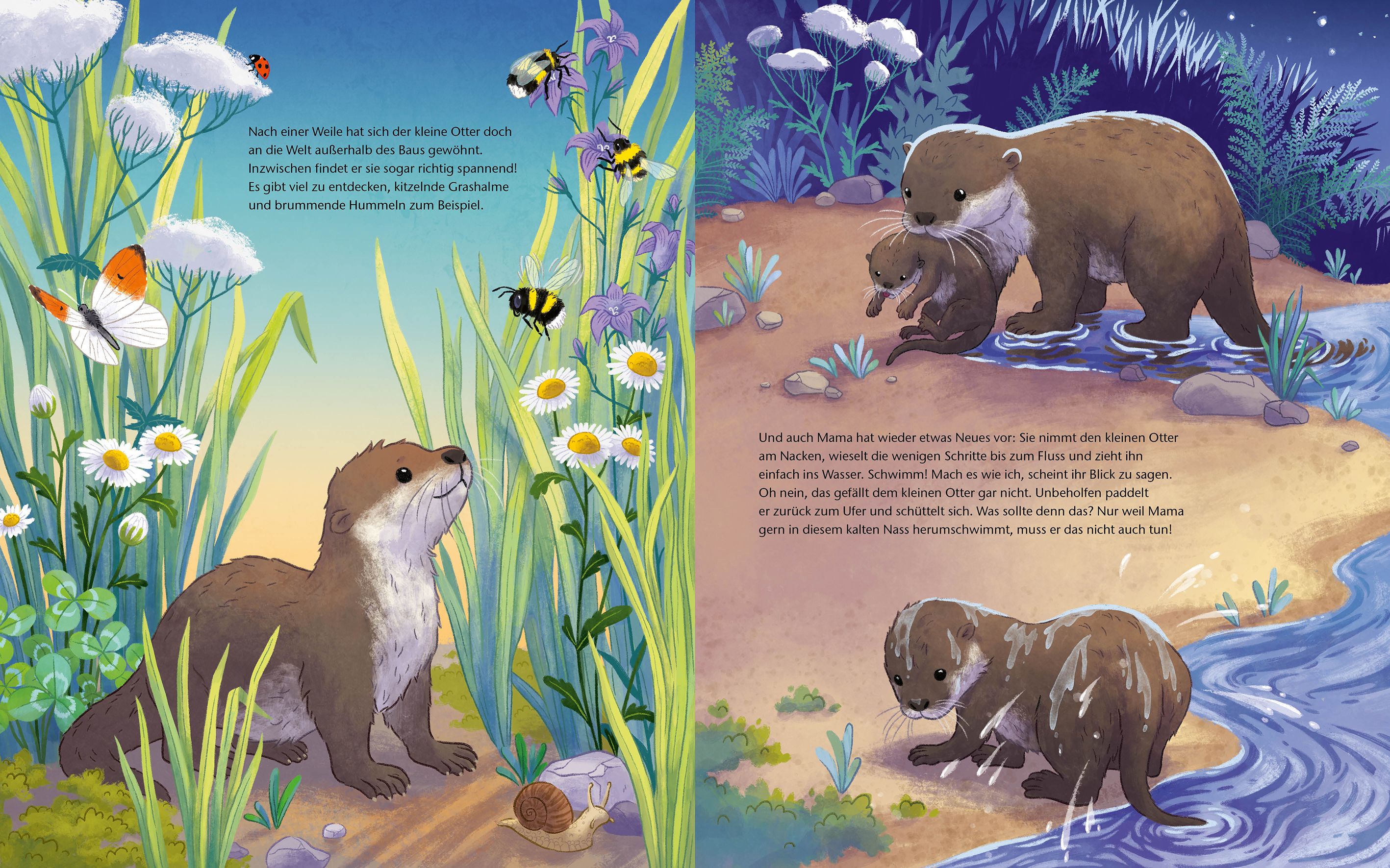 Der kleine Otter - Zu Hause in den Flüssen Europas