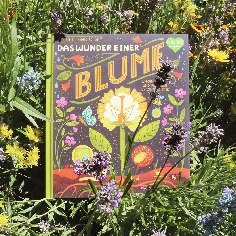 Das Wunder einer Blume - Warum Blumen und Pflanzen so wichtig sind