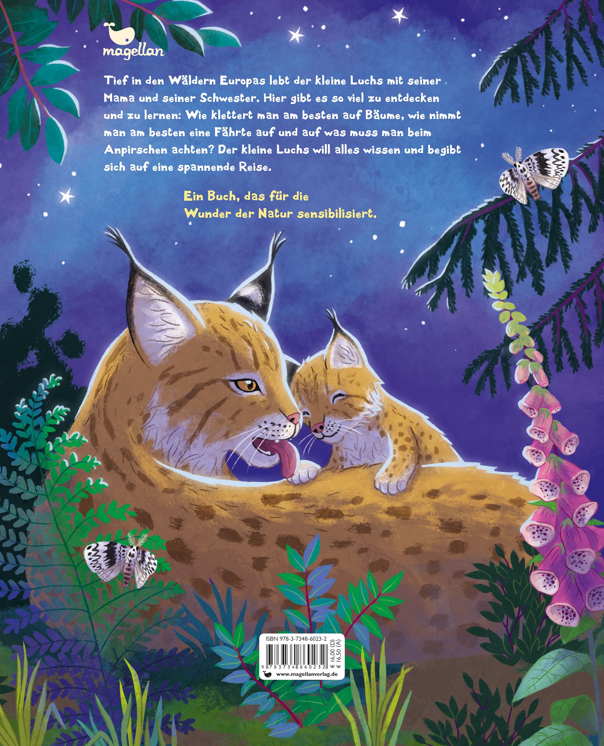 Der kleine Luchs - Zu Hause in den Wäldern Europas