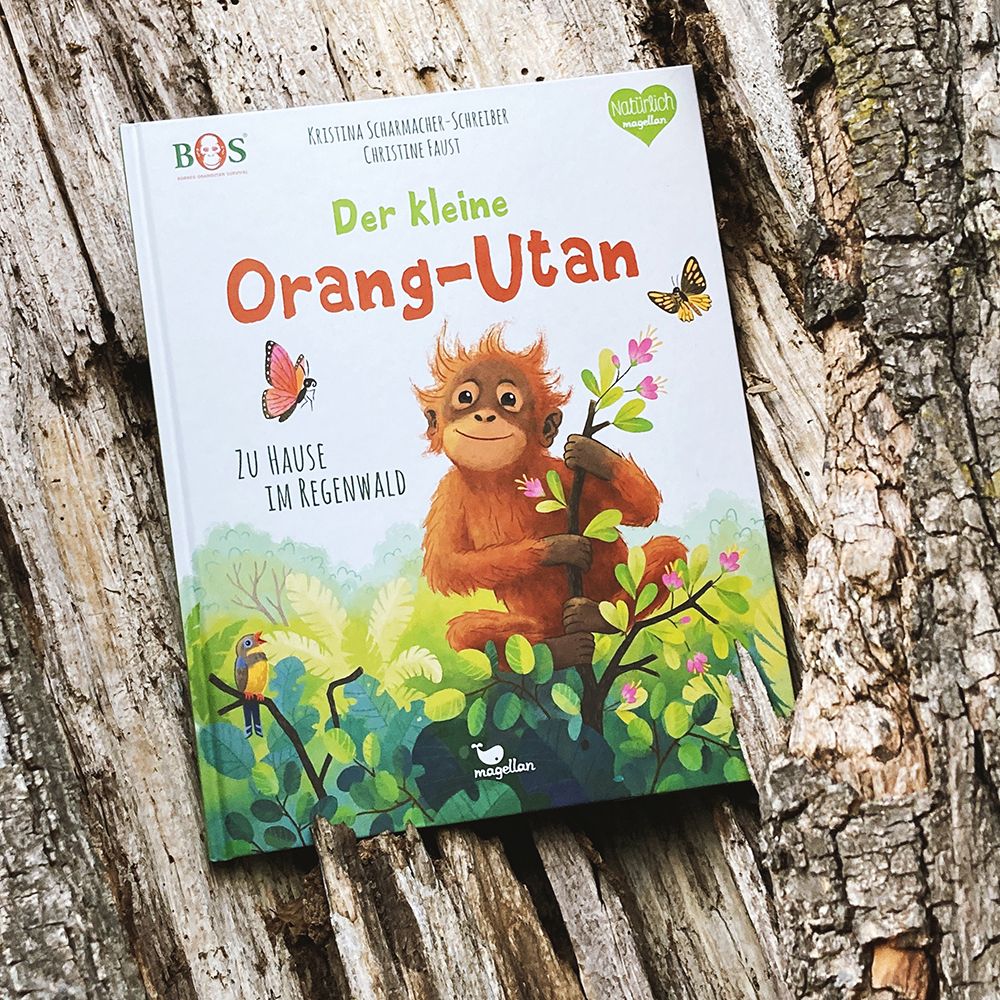 Der kleine Orang-Utan - Zu Hause im Regenwald