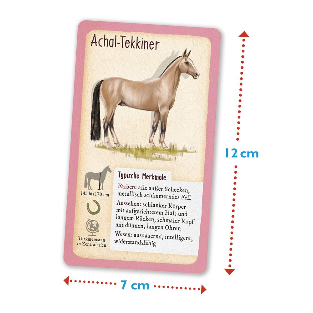 Tour durch die Natur - 50 Pferde und Ponys